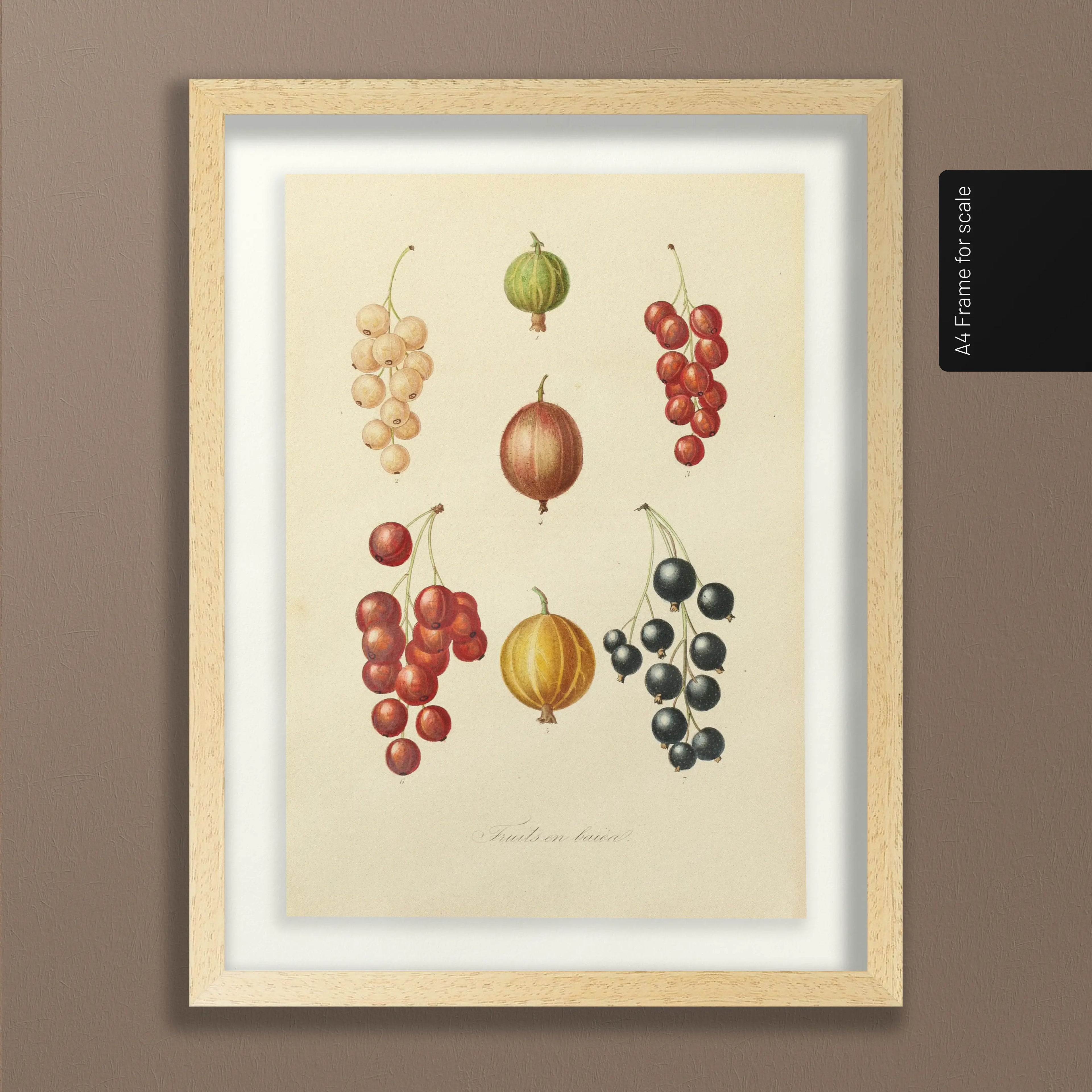Fruits & Vegetables: Plate No. 17