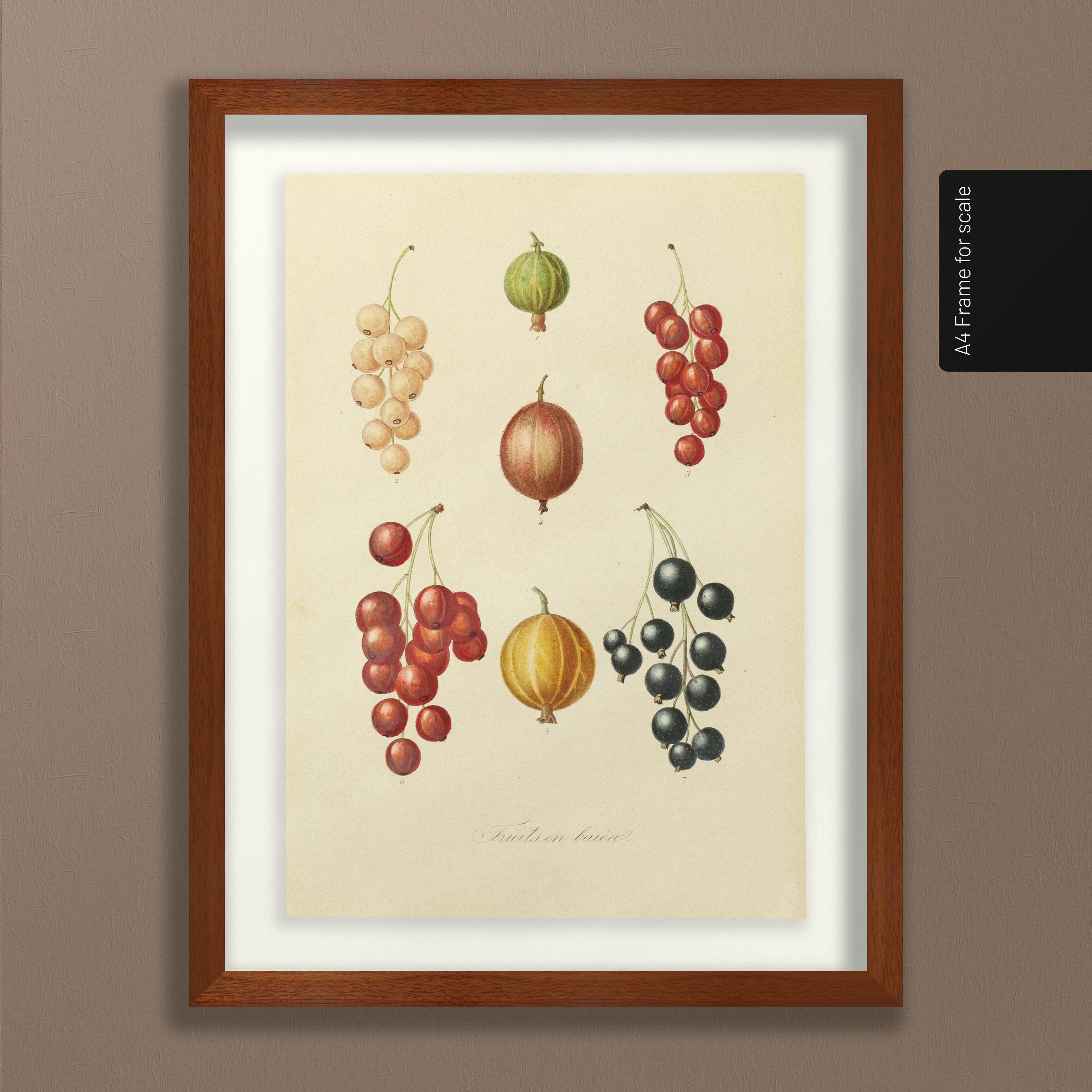 Fruits & Vegetables: Plate No. 17