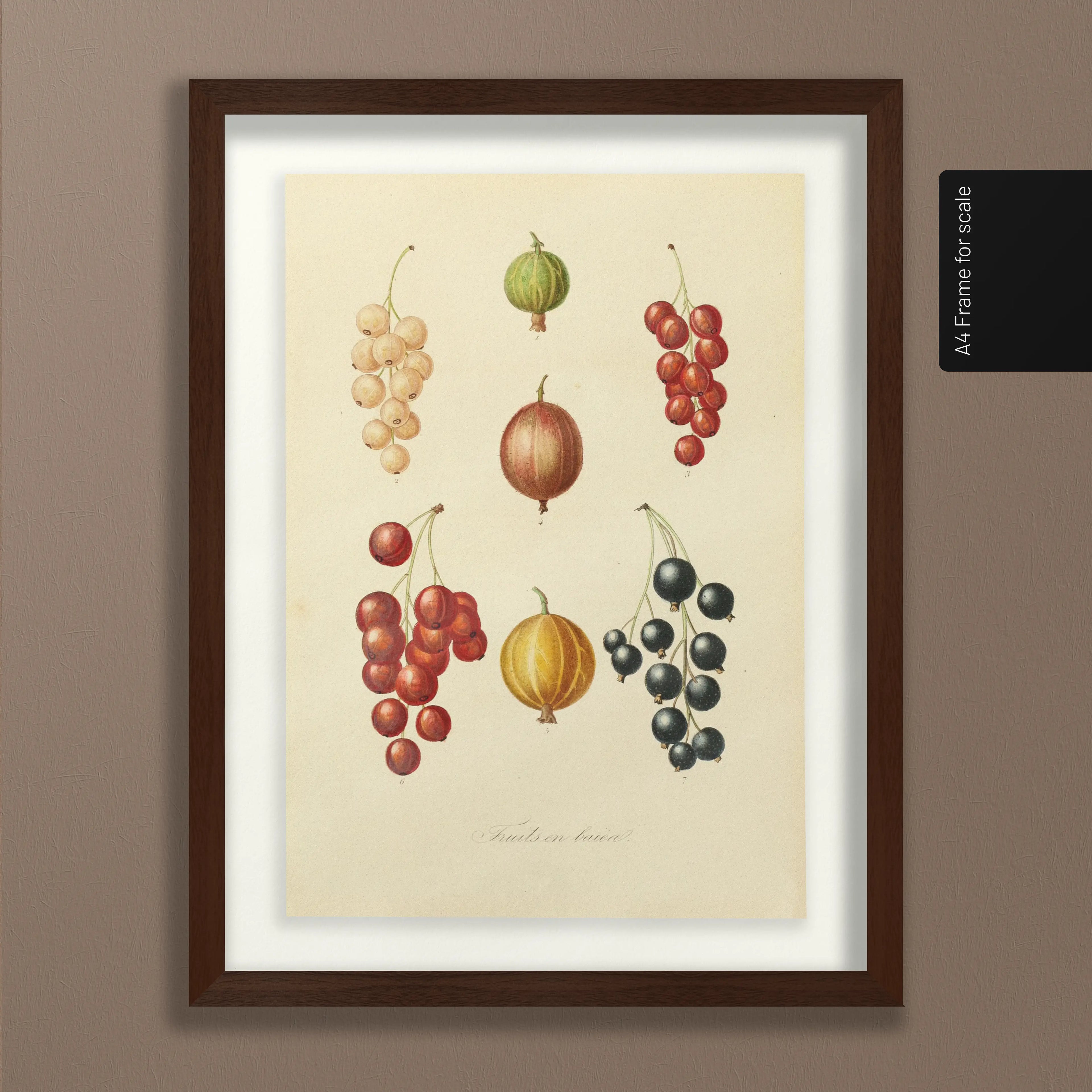 Fruits & Vegetables: Plate No. 17