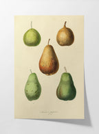 Fruits & Vegetables: Plate No. 18