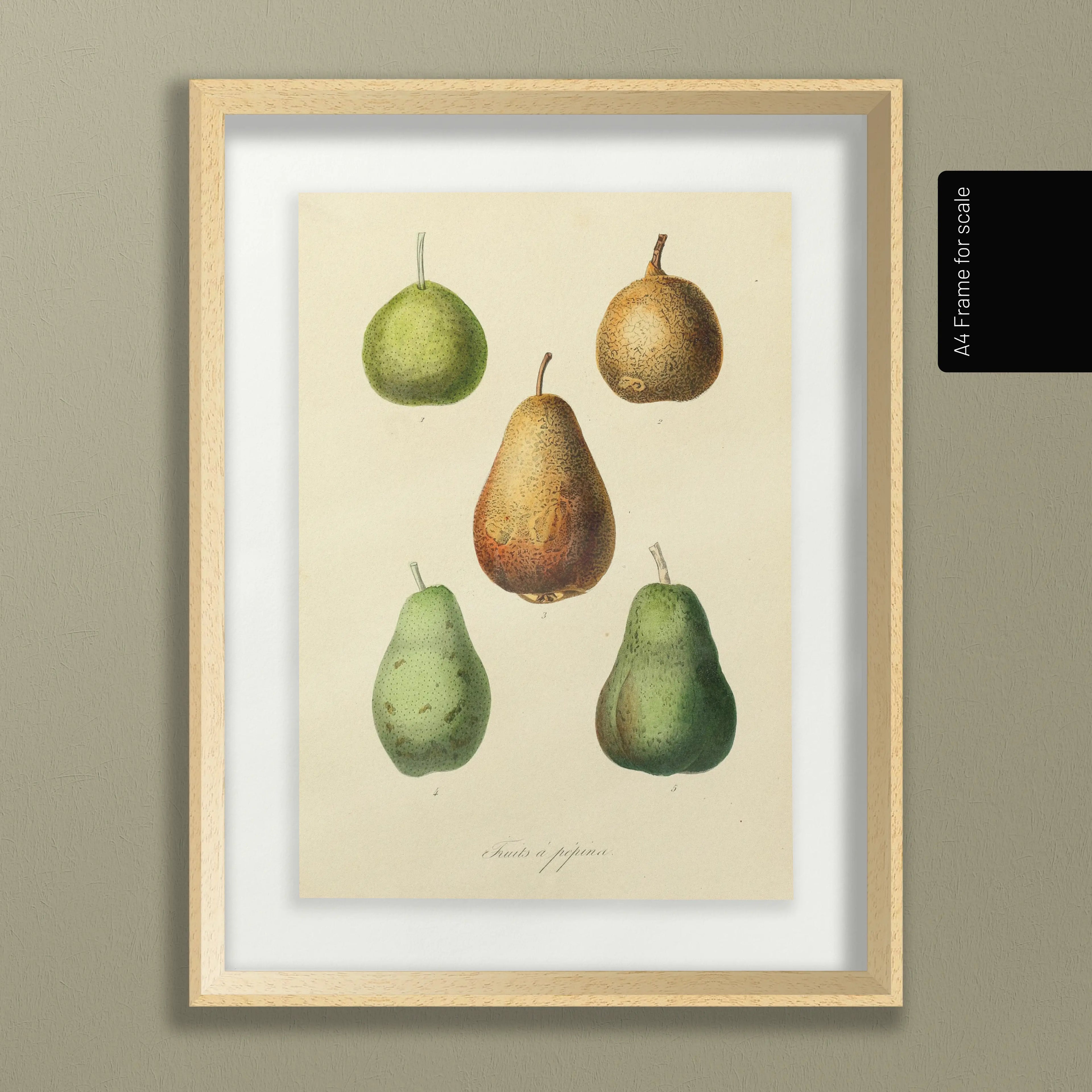 Fruits & Vegetables: Plate No. 21