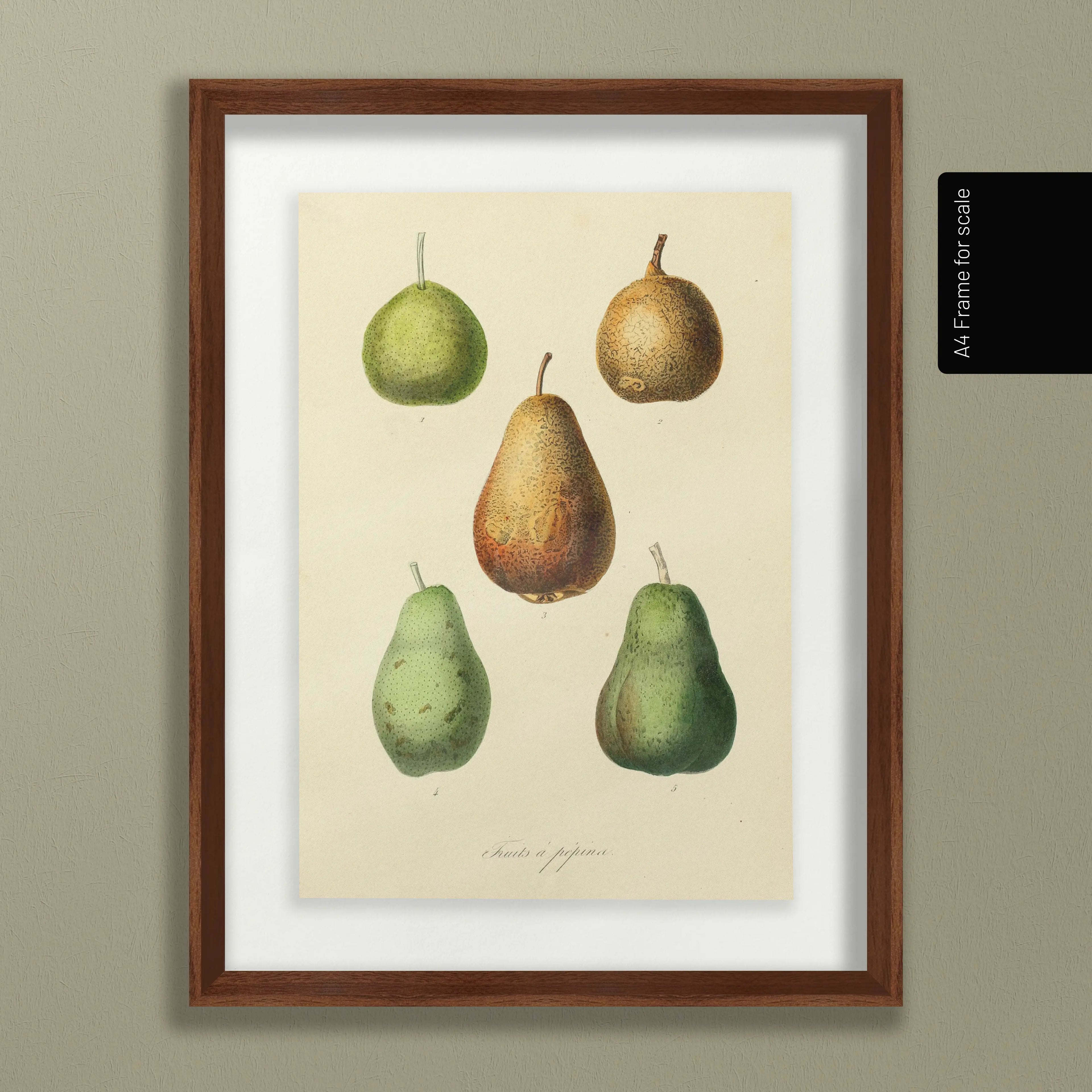 Fruits & Vegetables: Plate No. 21