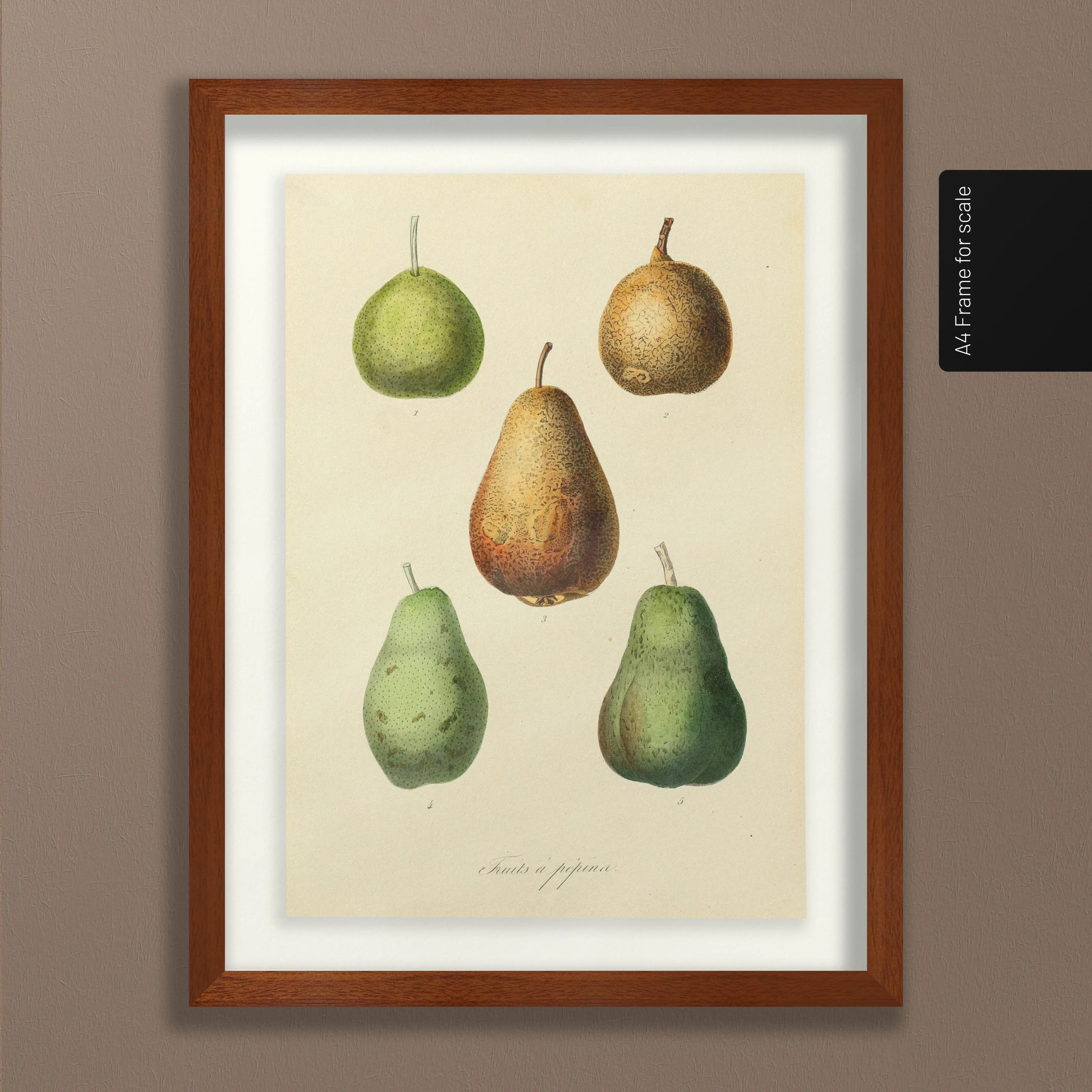 Fruits & Vegetables: Plate No. 21