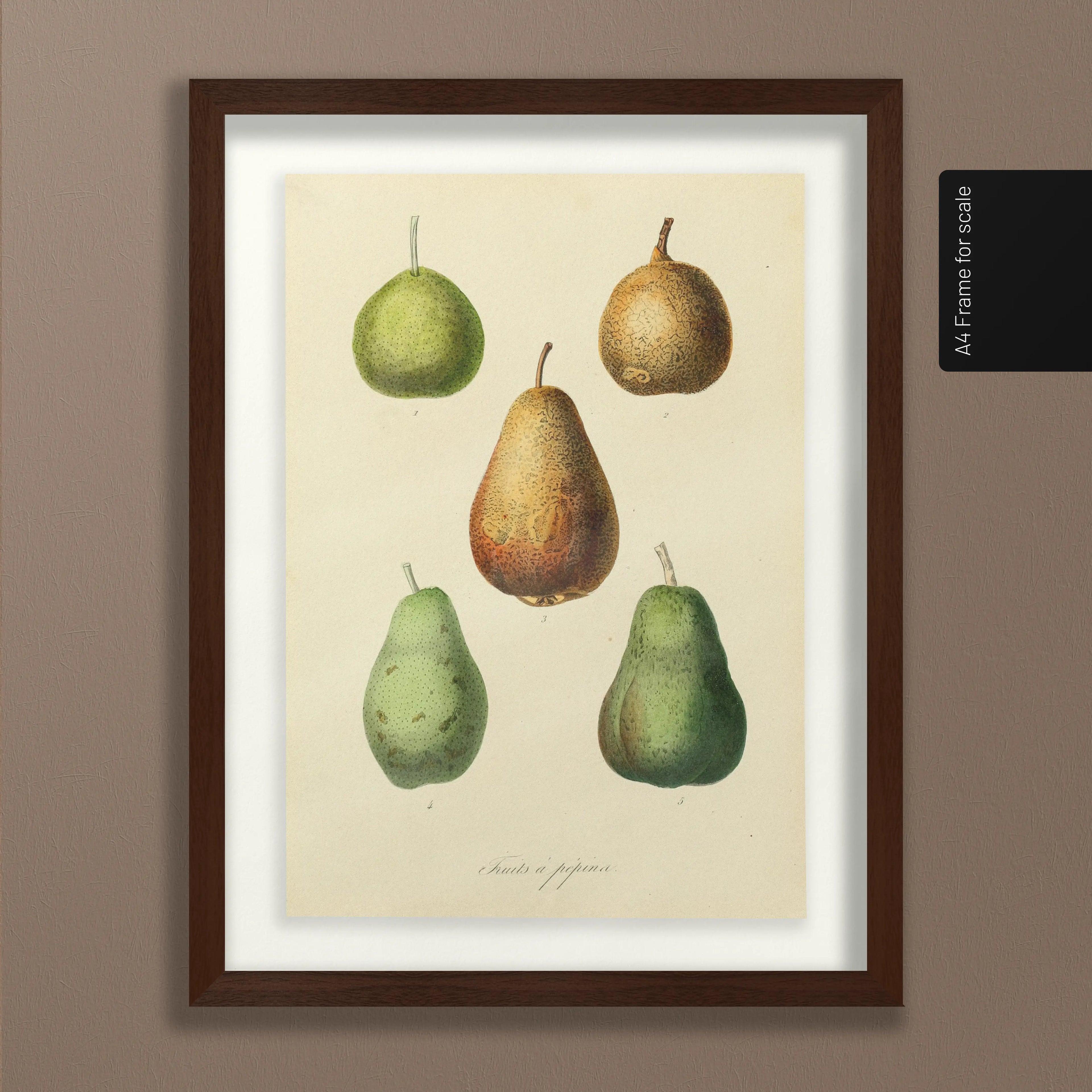 Fruits & Vegetables: Plate No. 21