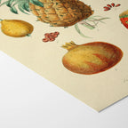 Fruits & Vegetables: Plate No. 19