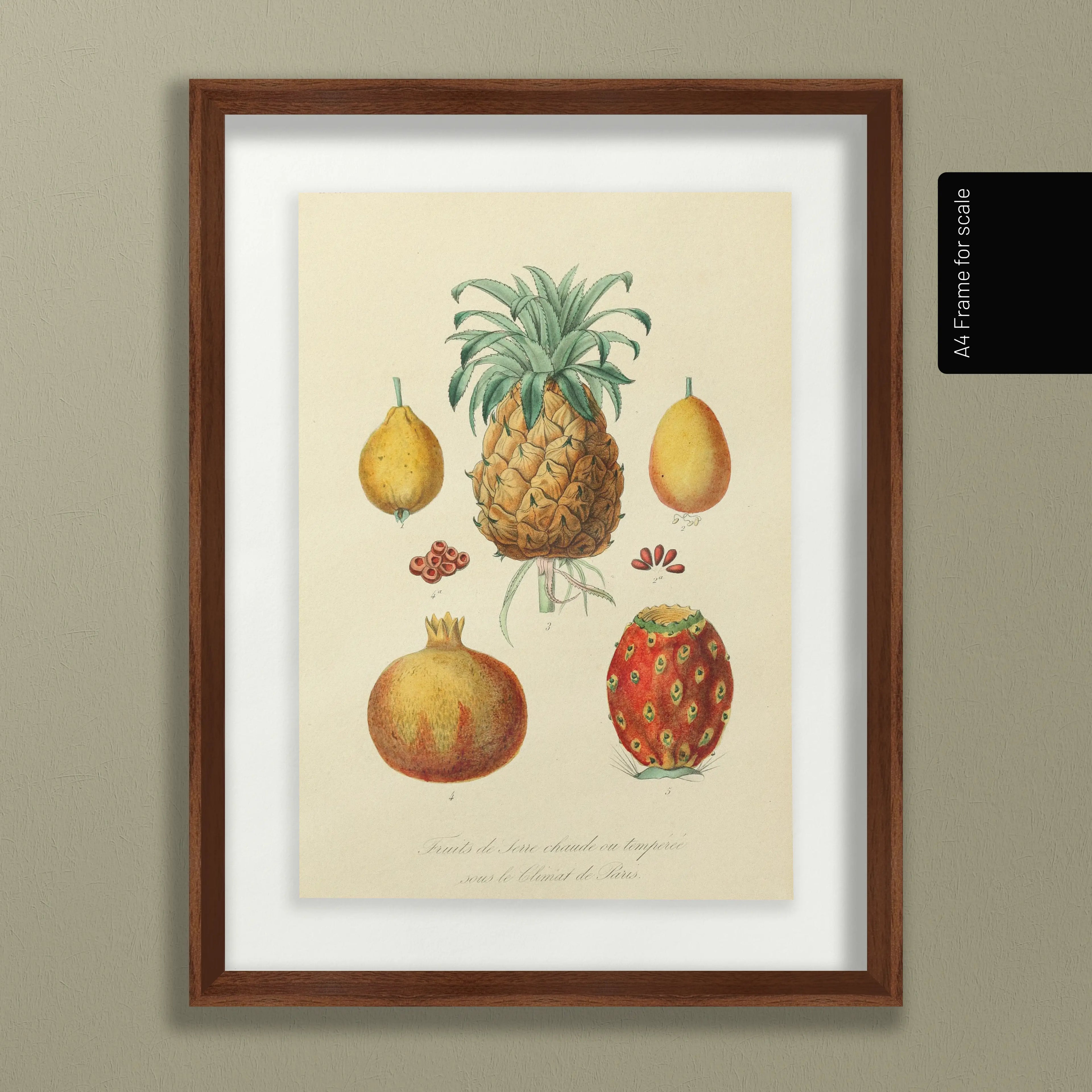 Fruits & Vegetables: Plate No. 19