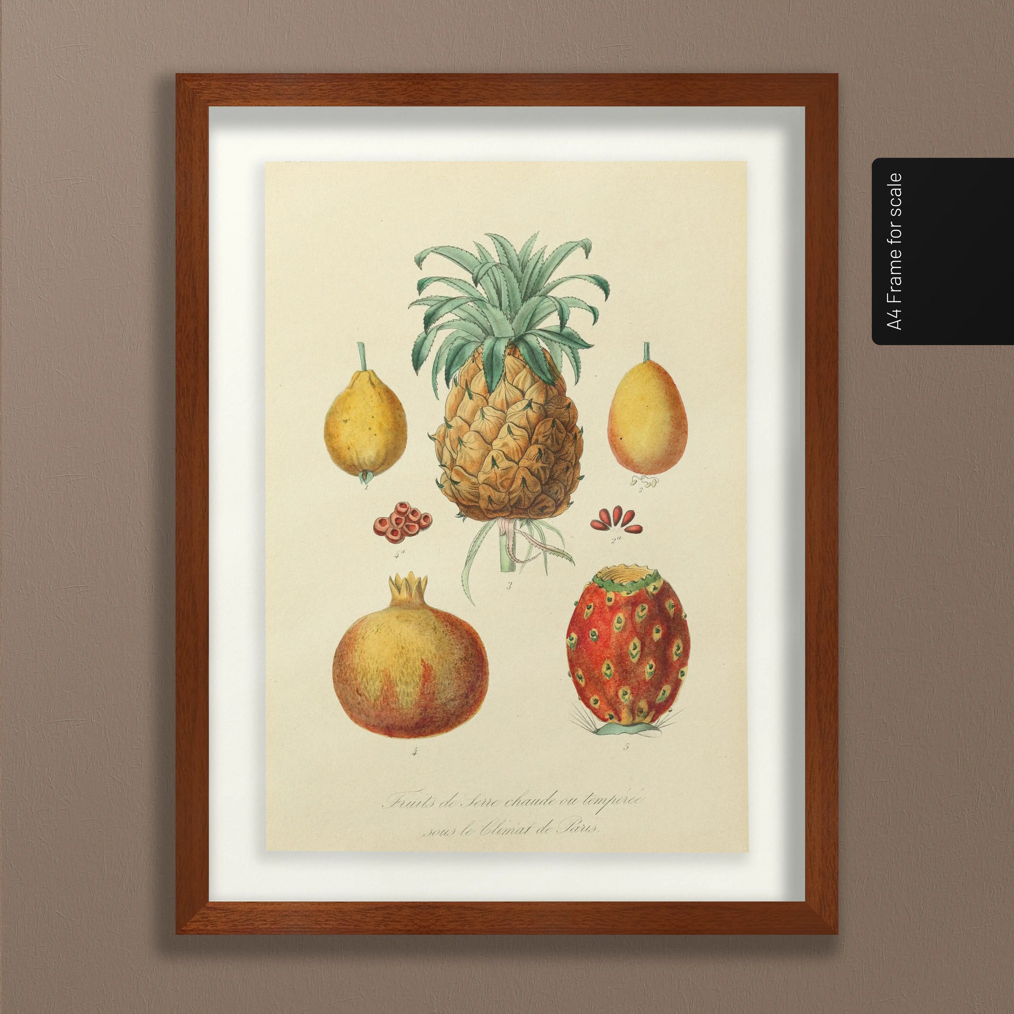 Fruits & Vegetables: Plate No. 19