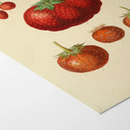 Fruits & Vegetables: Plate No. 22