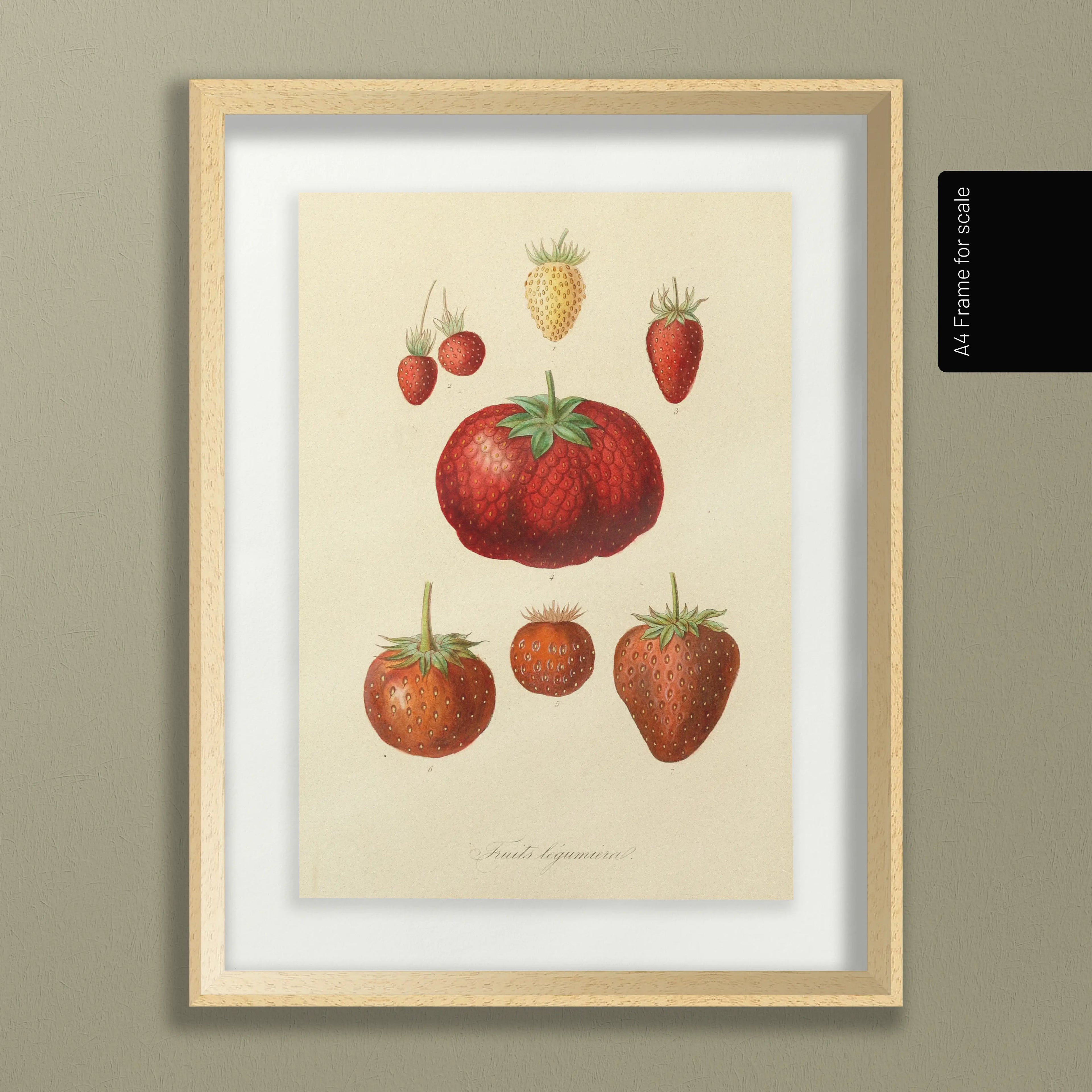 Fruits & Vegetables: Plate No. 22