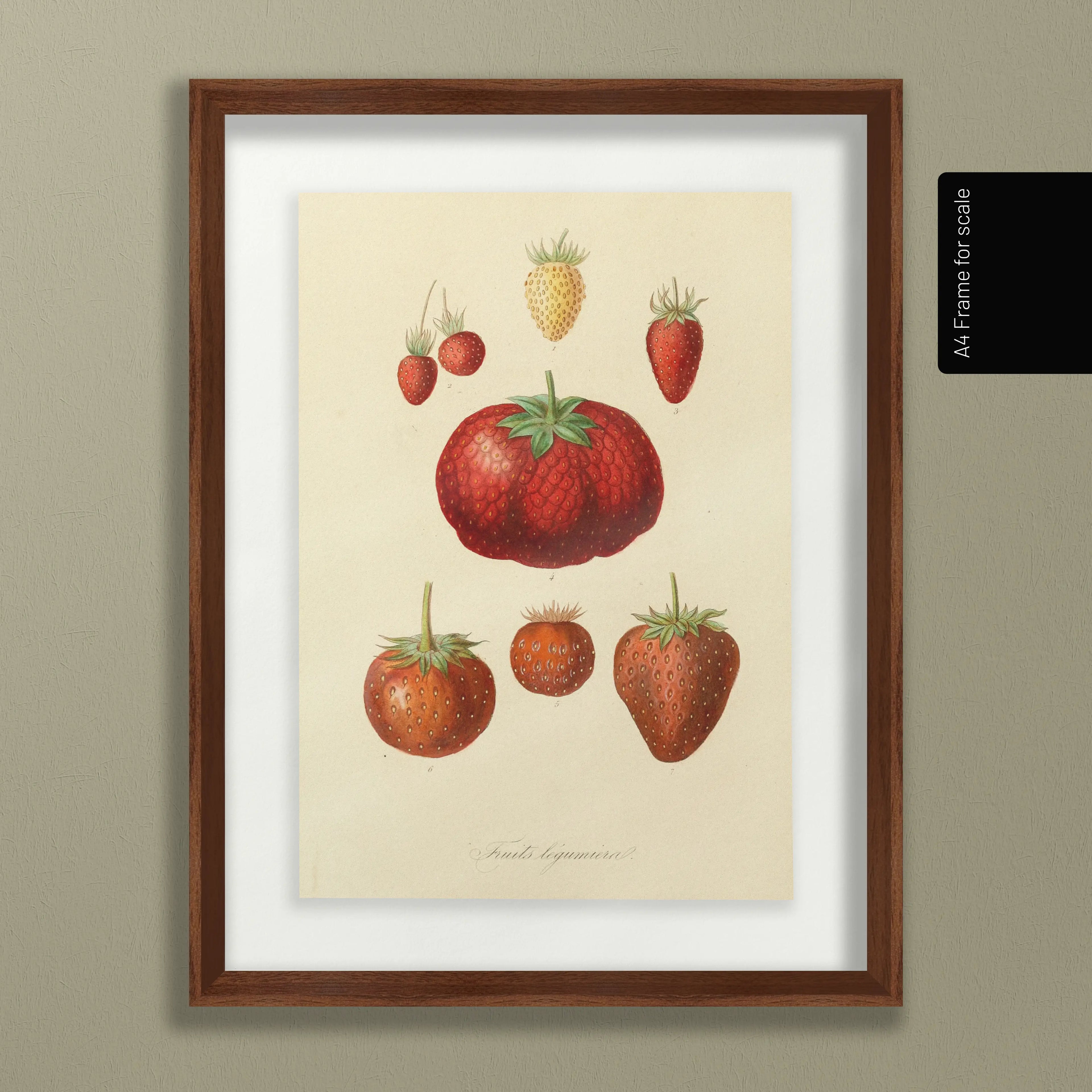 Fruits & Vegetables: Plate No. 22