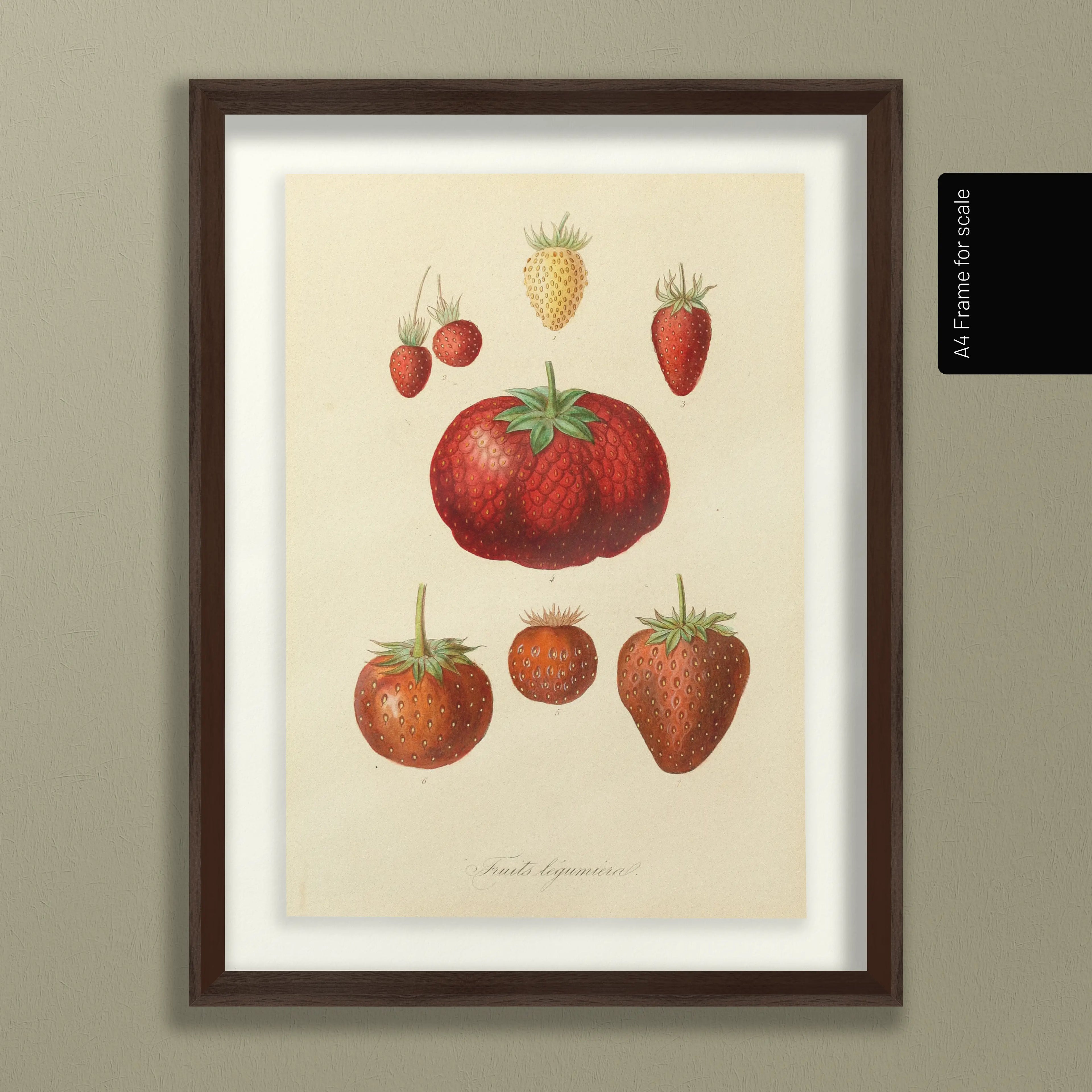 Fruits & Vegetables: Plate No. 22