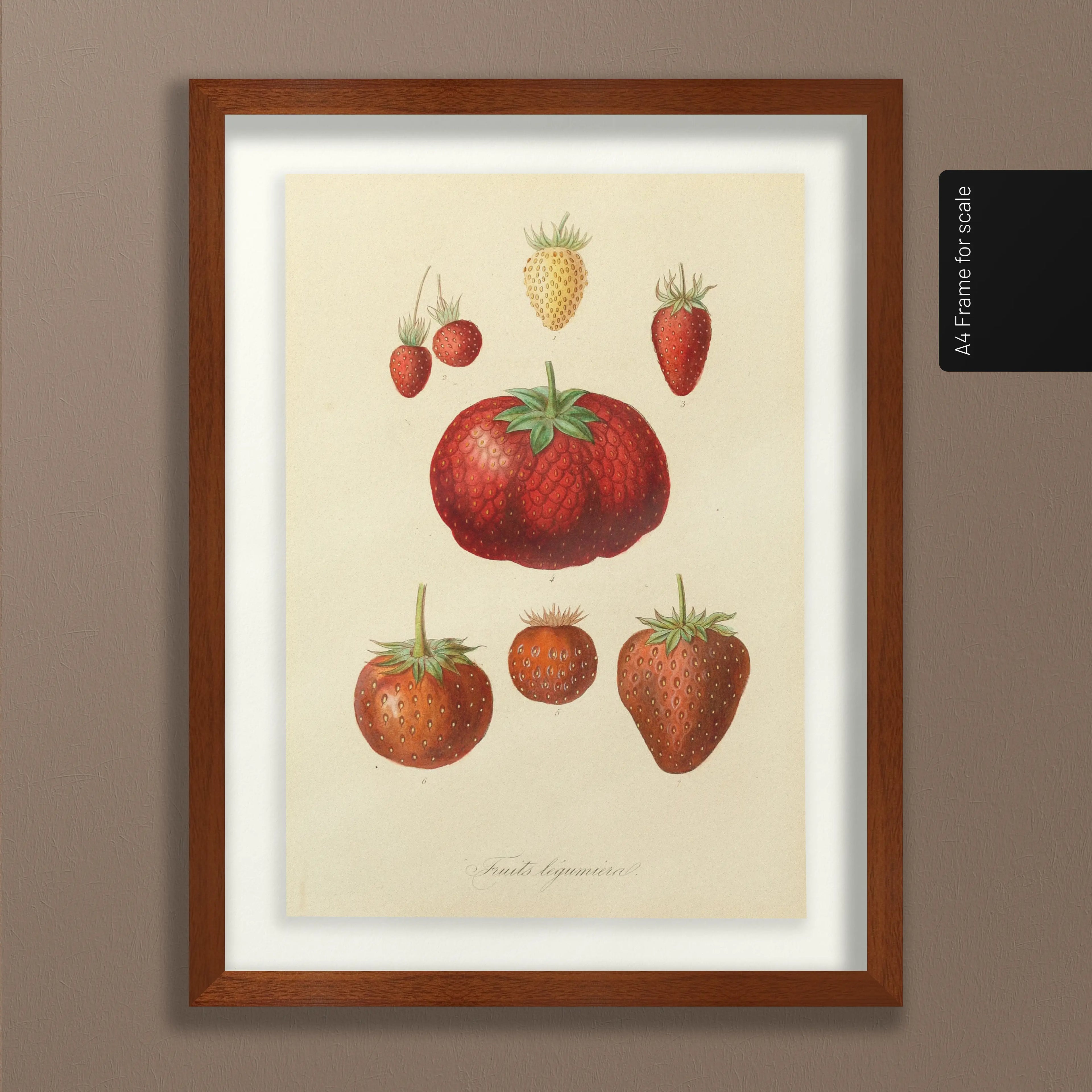 Fruits & Vegetables: Plate No. 22