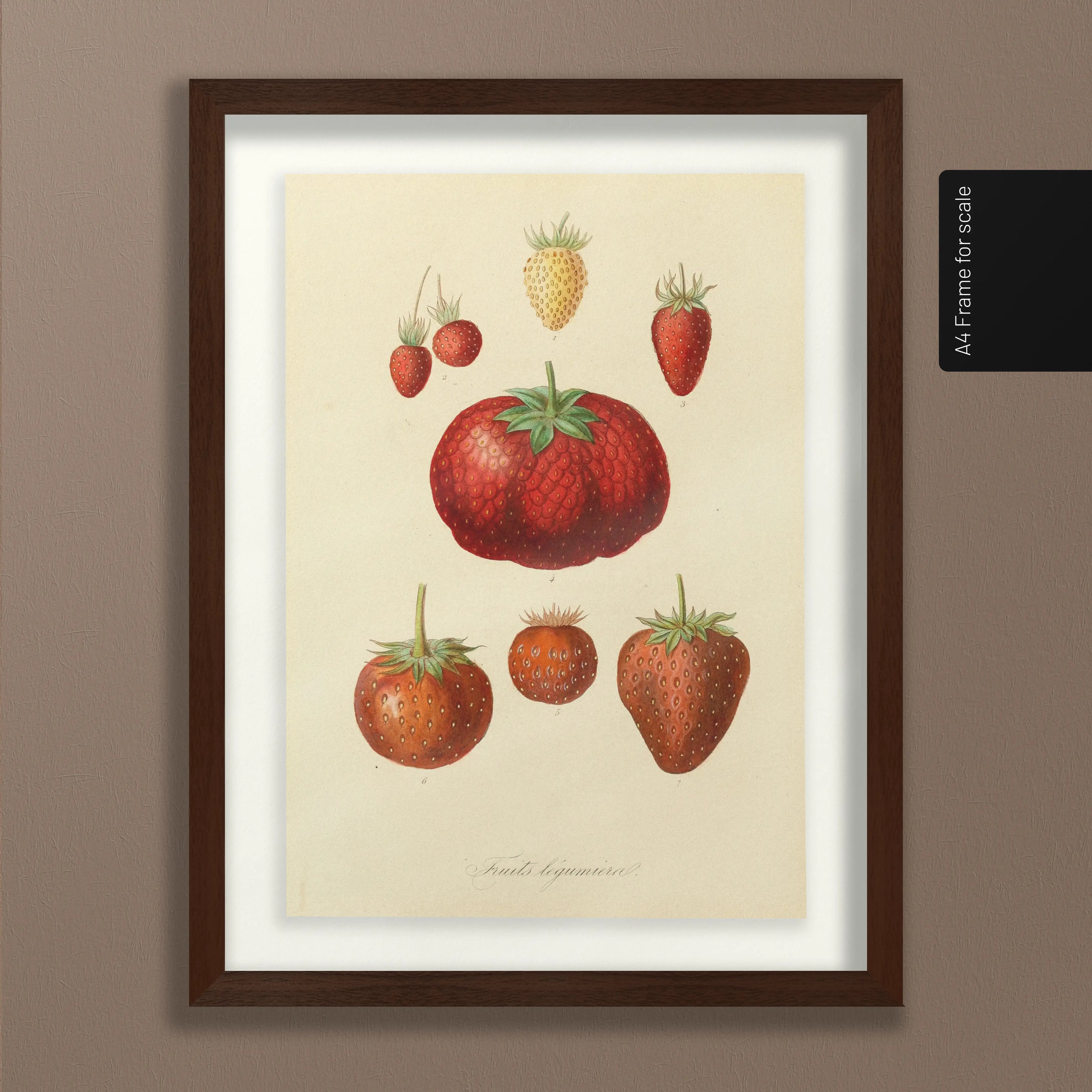 Fruits & Vegetables: Plate No. 22