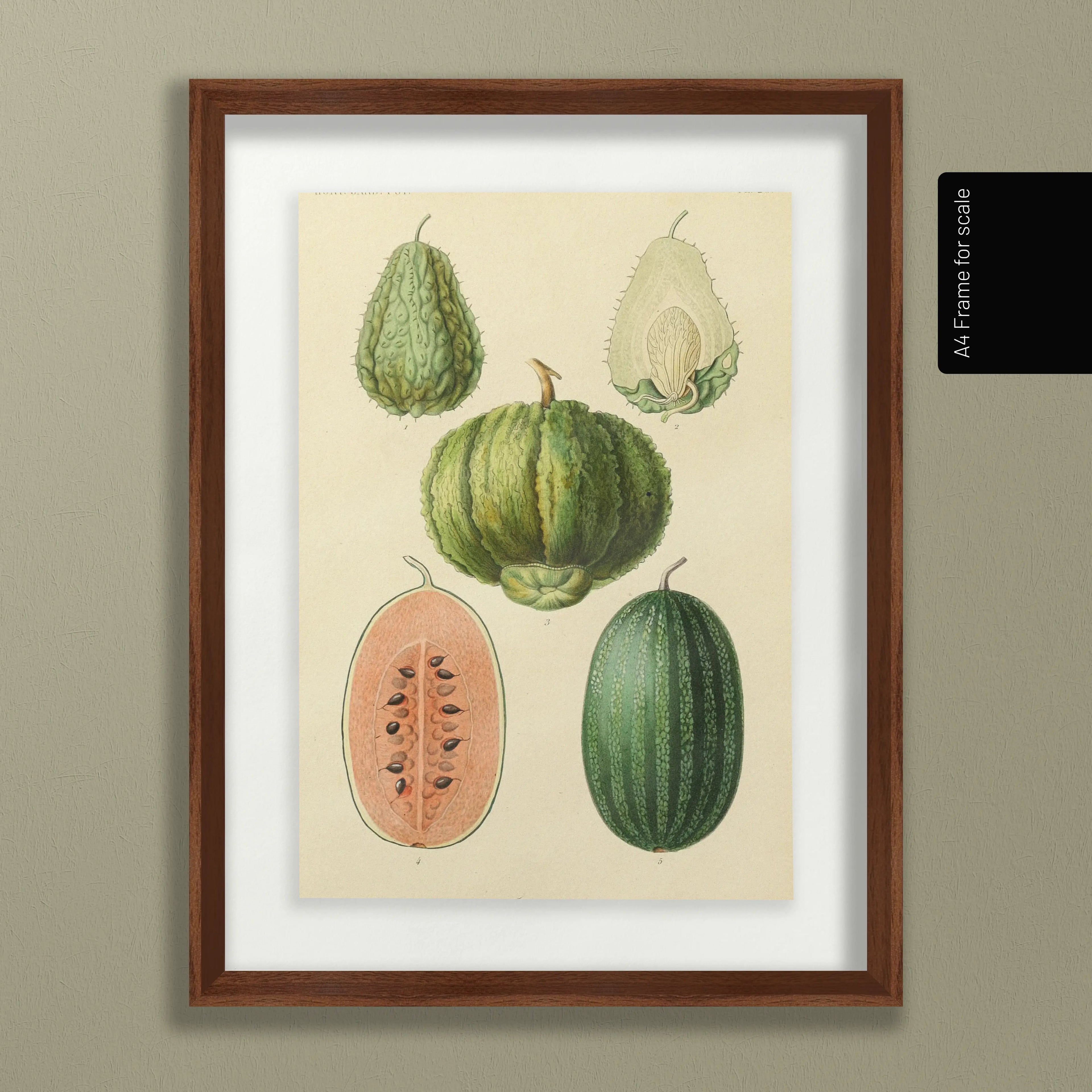 Fruits & Vegetables: Plate No. 23