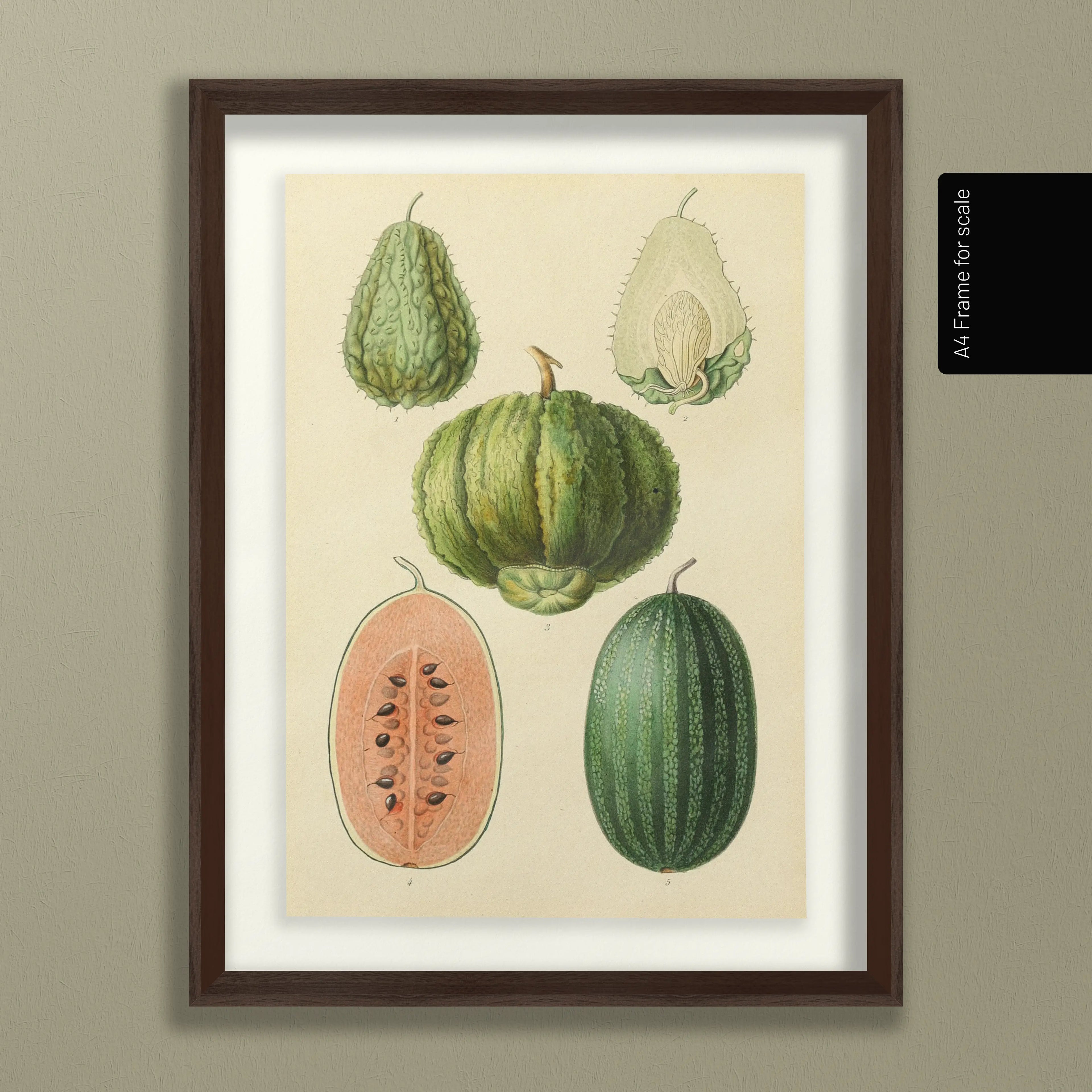 Fruits & Vegetables: Plate No. 23