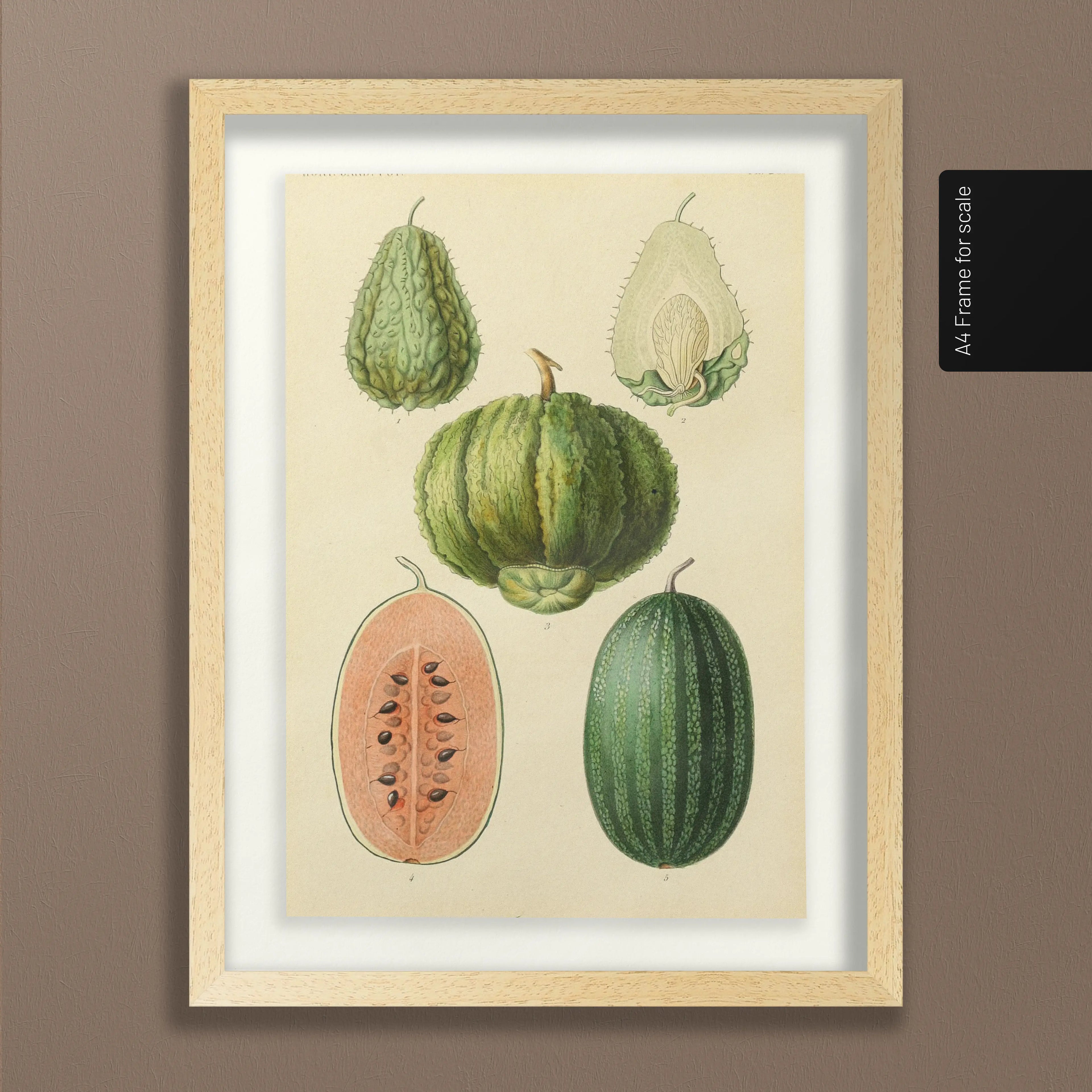 Fruits & Vegetables: Plate No. 23