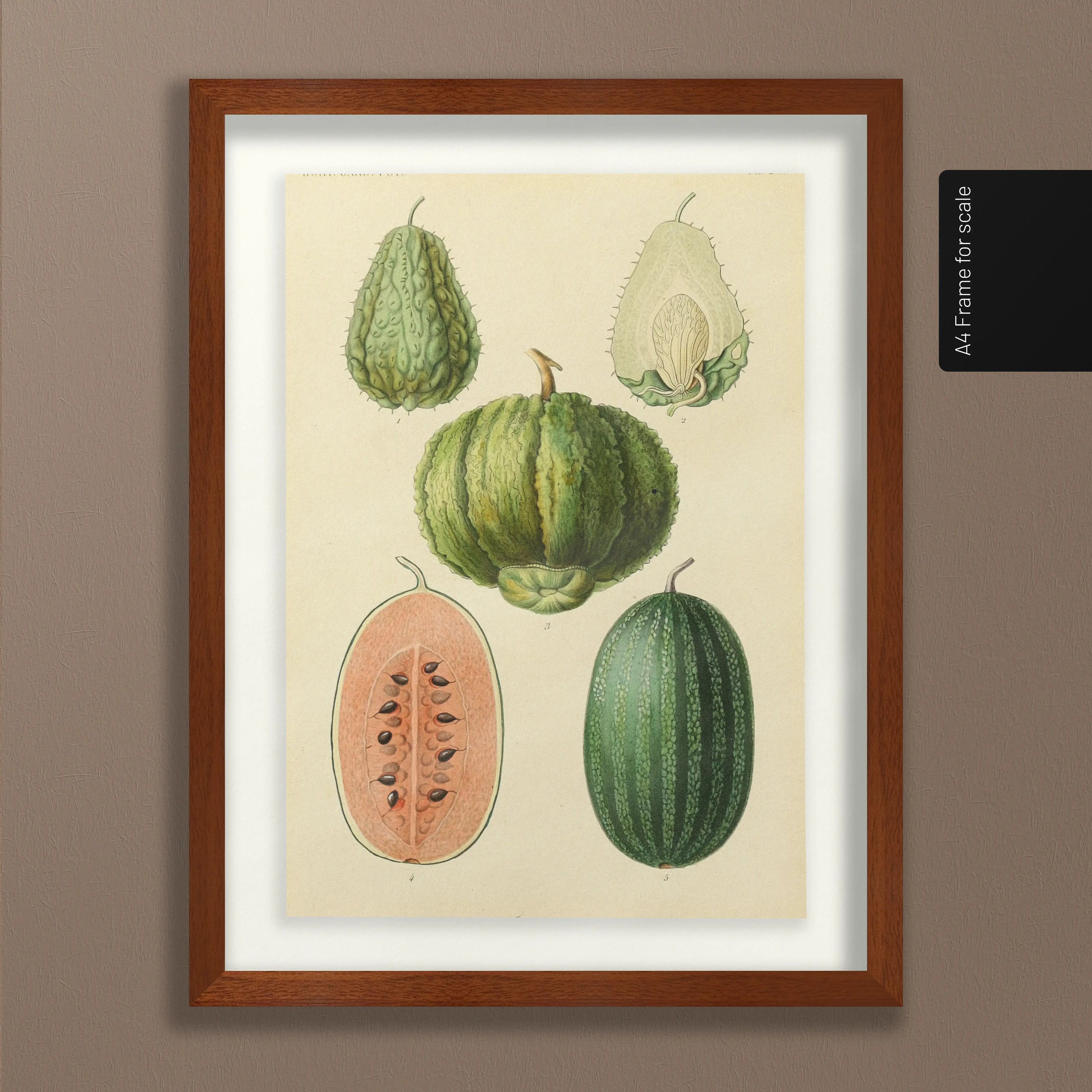 Fruits & Vegetables: Plate No. 23