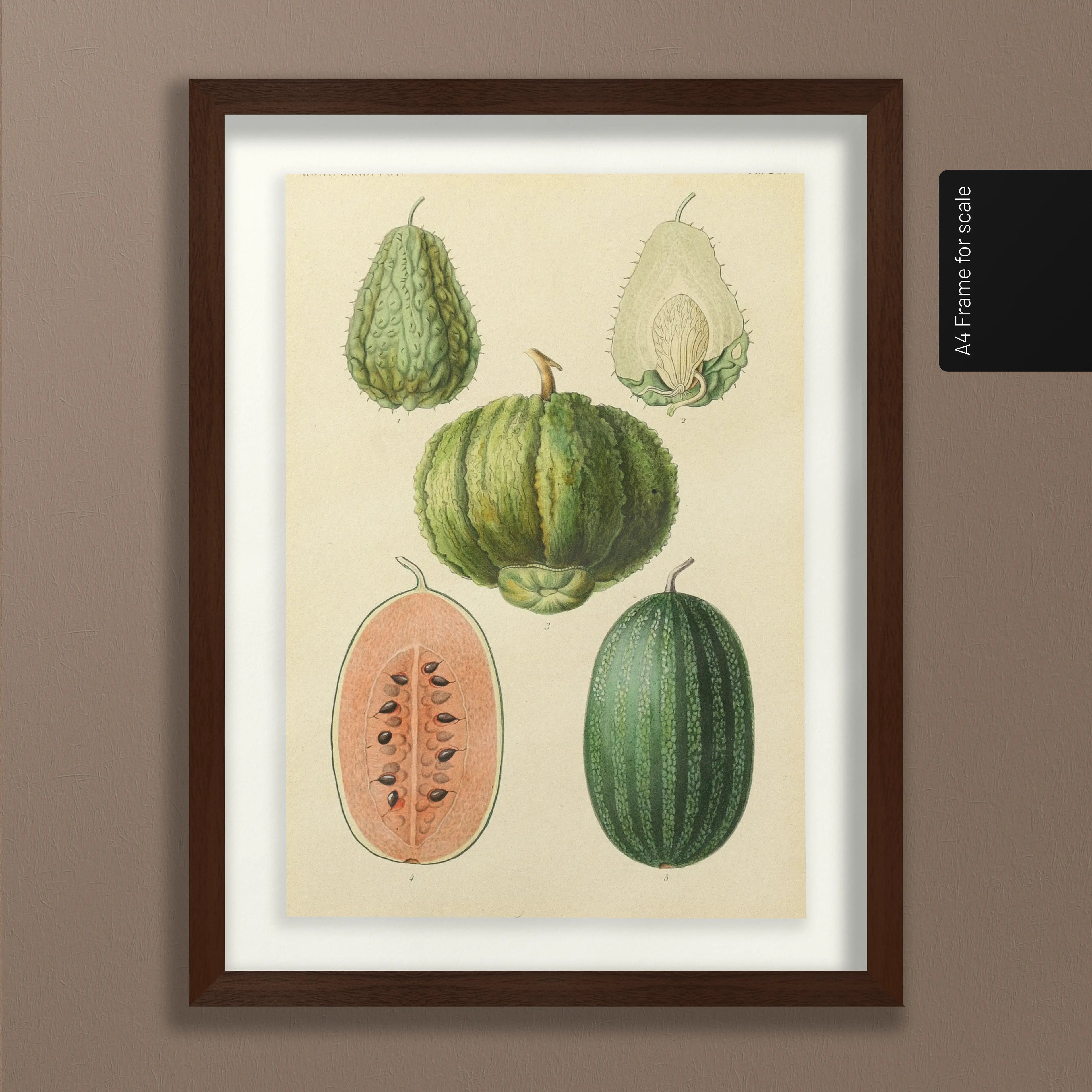 Fruits & Vegetables: Plate No. 23