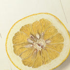 Fruits & Vegetables: Plate No. 24