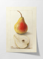 Fruits & Vegetables: Plate No. 25