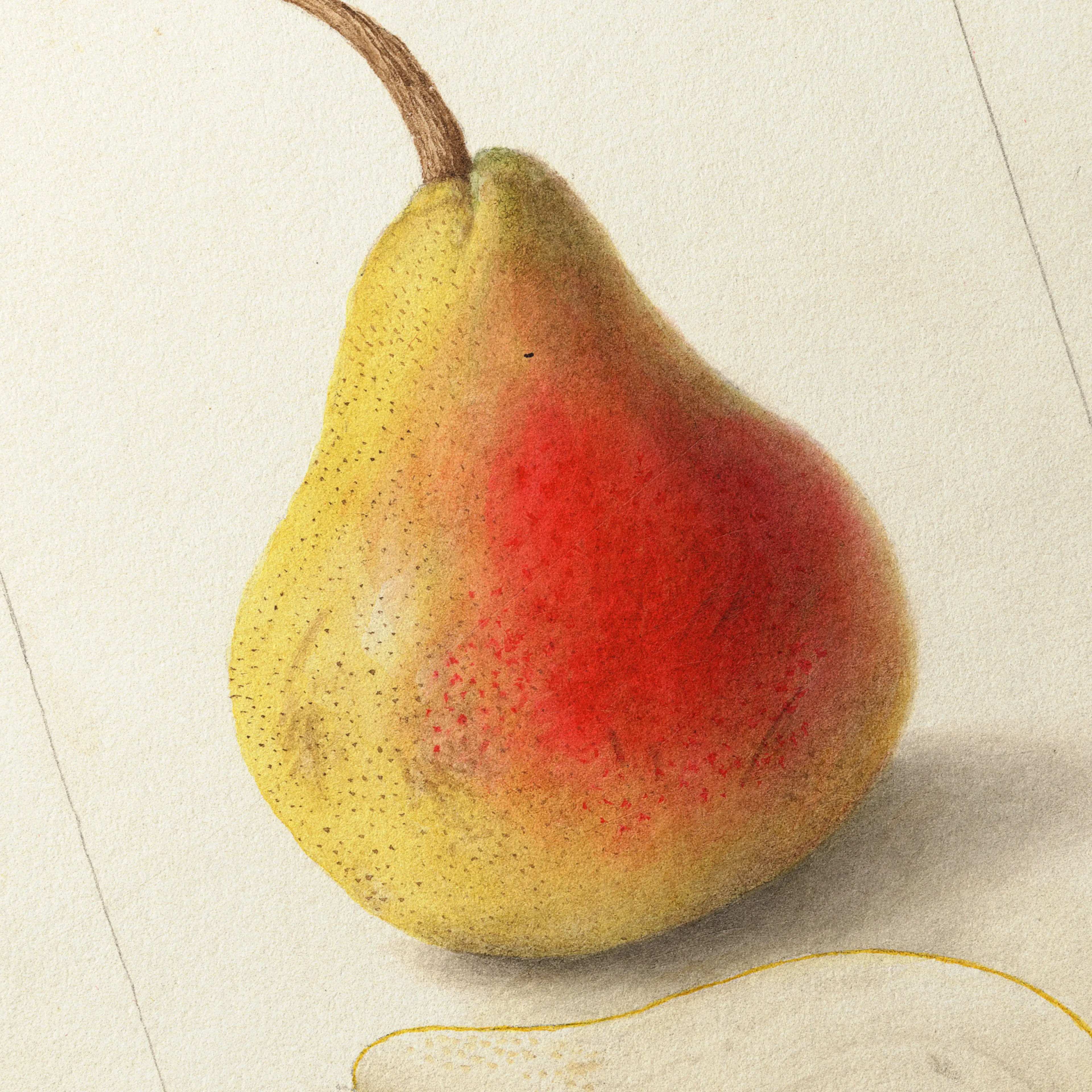 Fruits & Vegetables: Plate No. 25