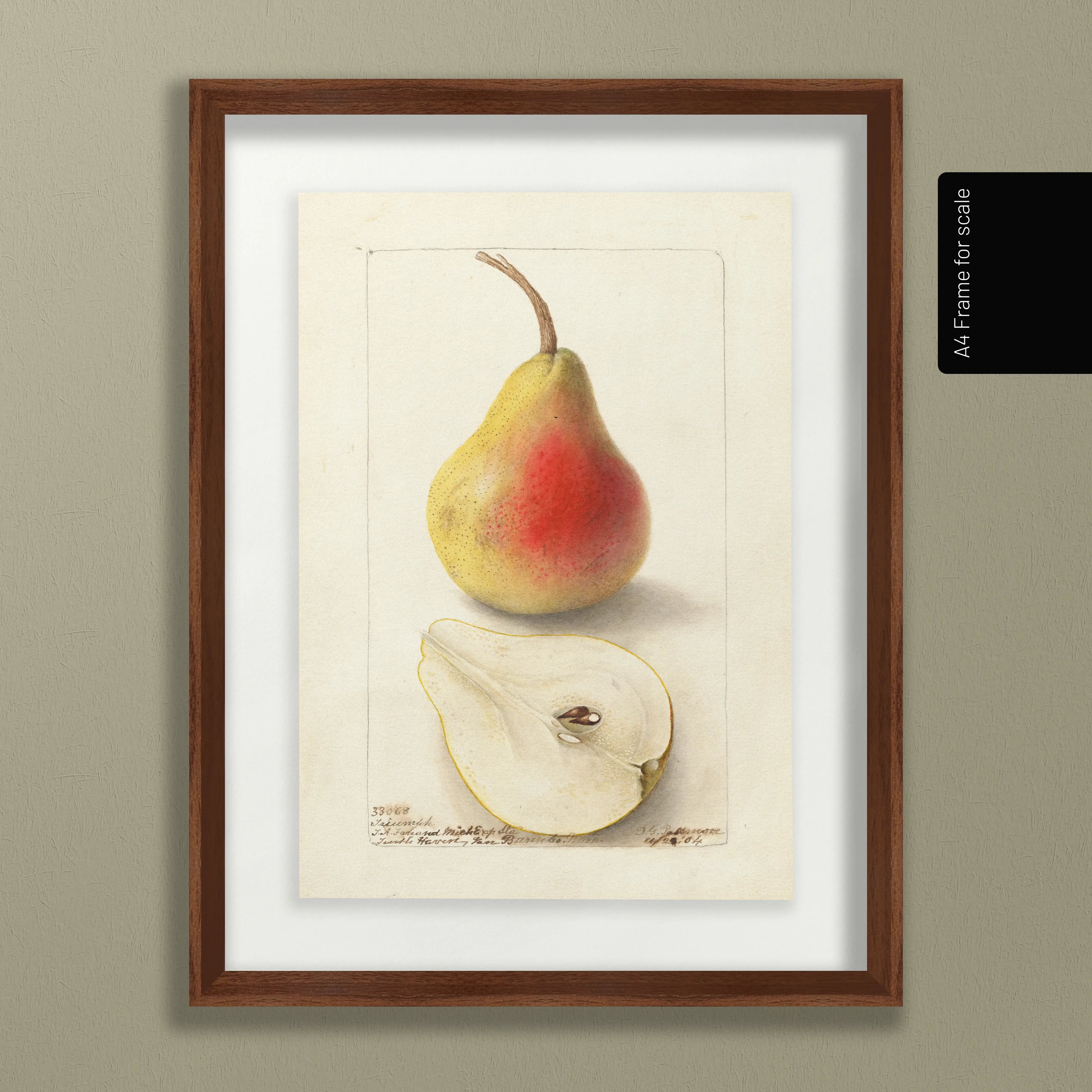 Fruits & Vegetables: Plate No. 25