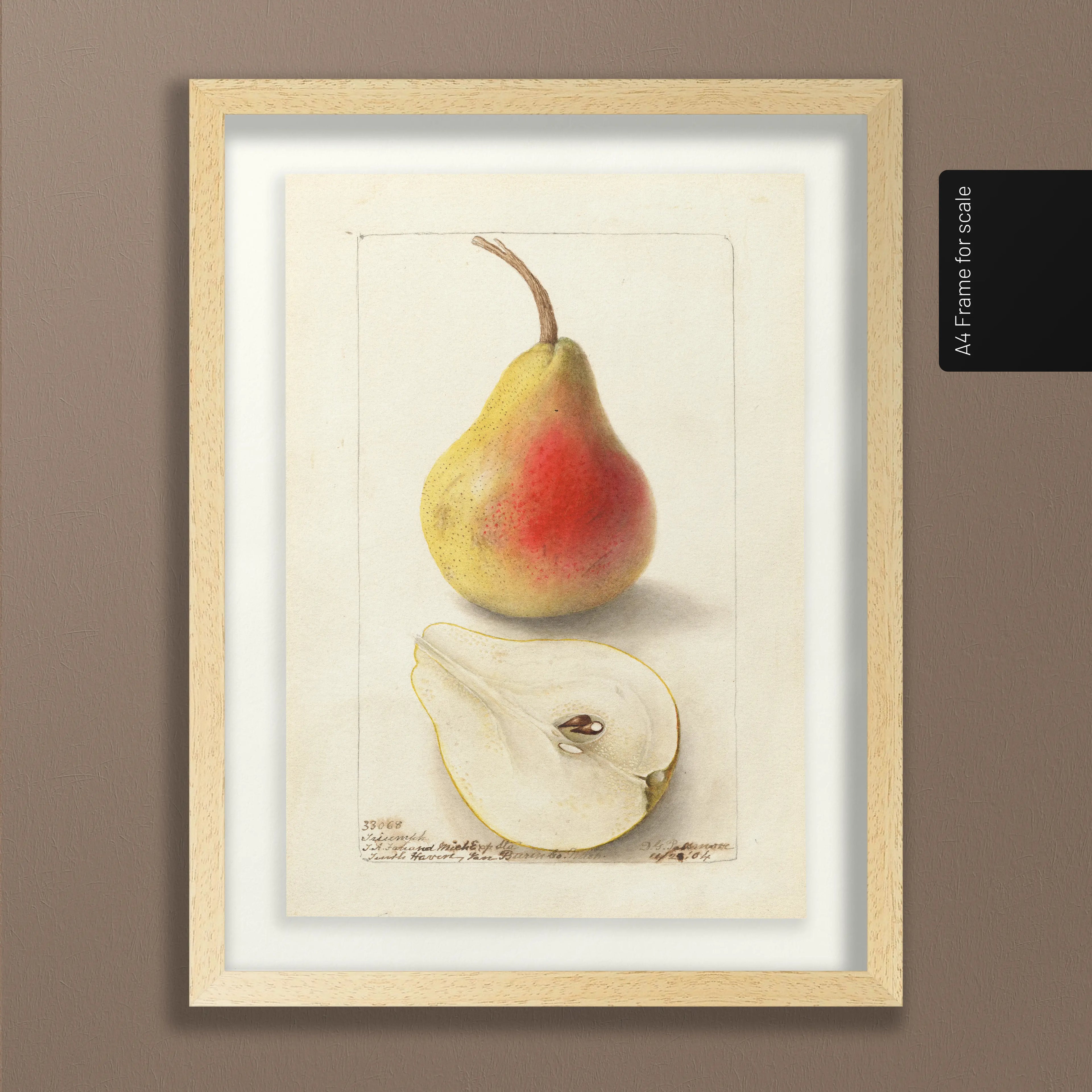 Fruits & Vegetables: Plate No. 25