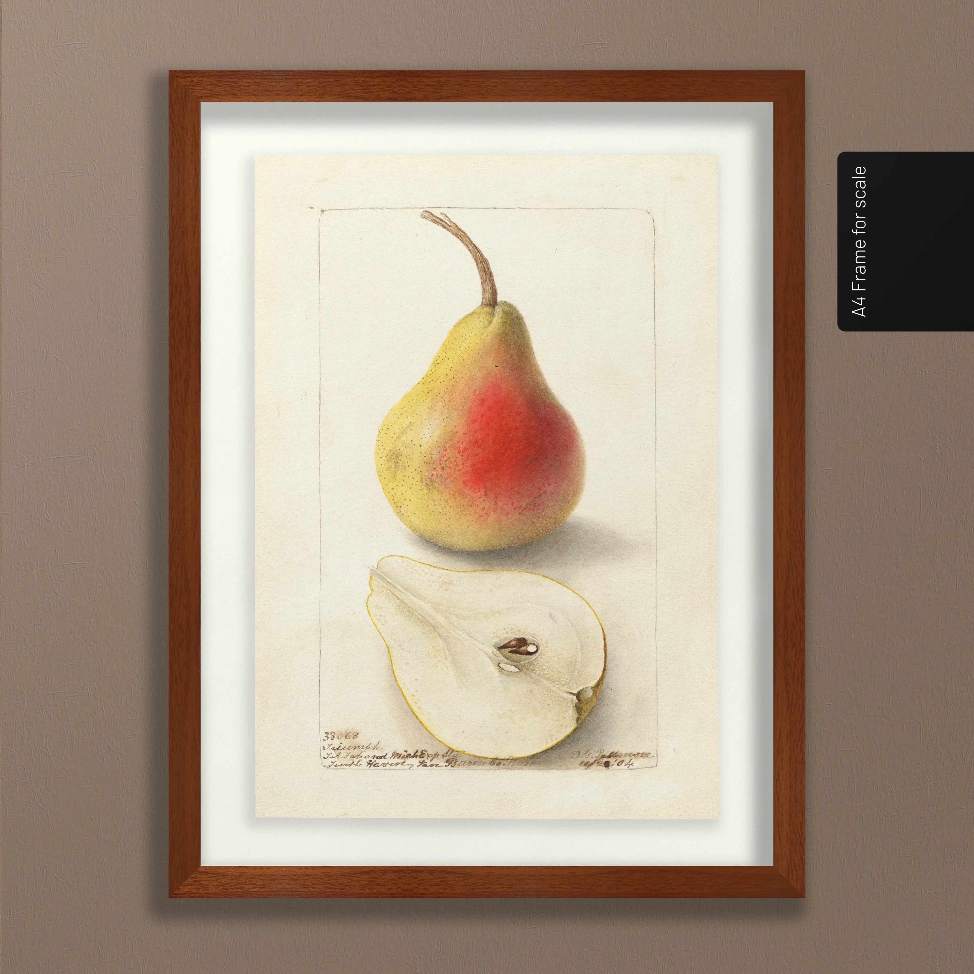 Fruits & Vegetables: Plate No. 25