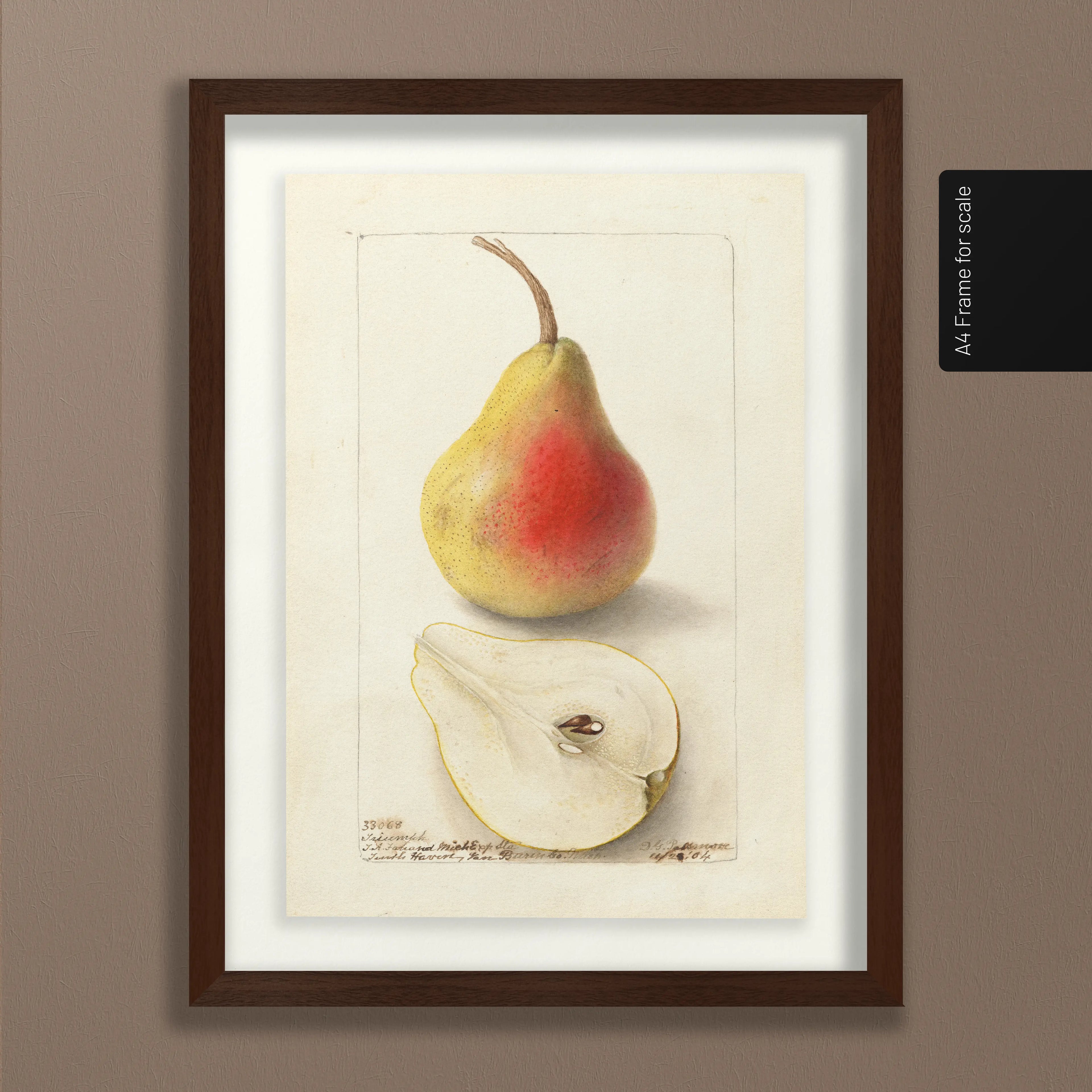 Fruits & Vegetables: Plate No. 25