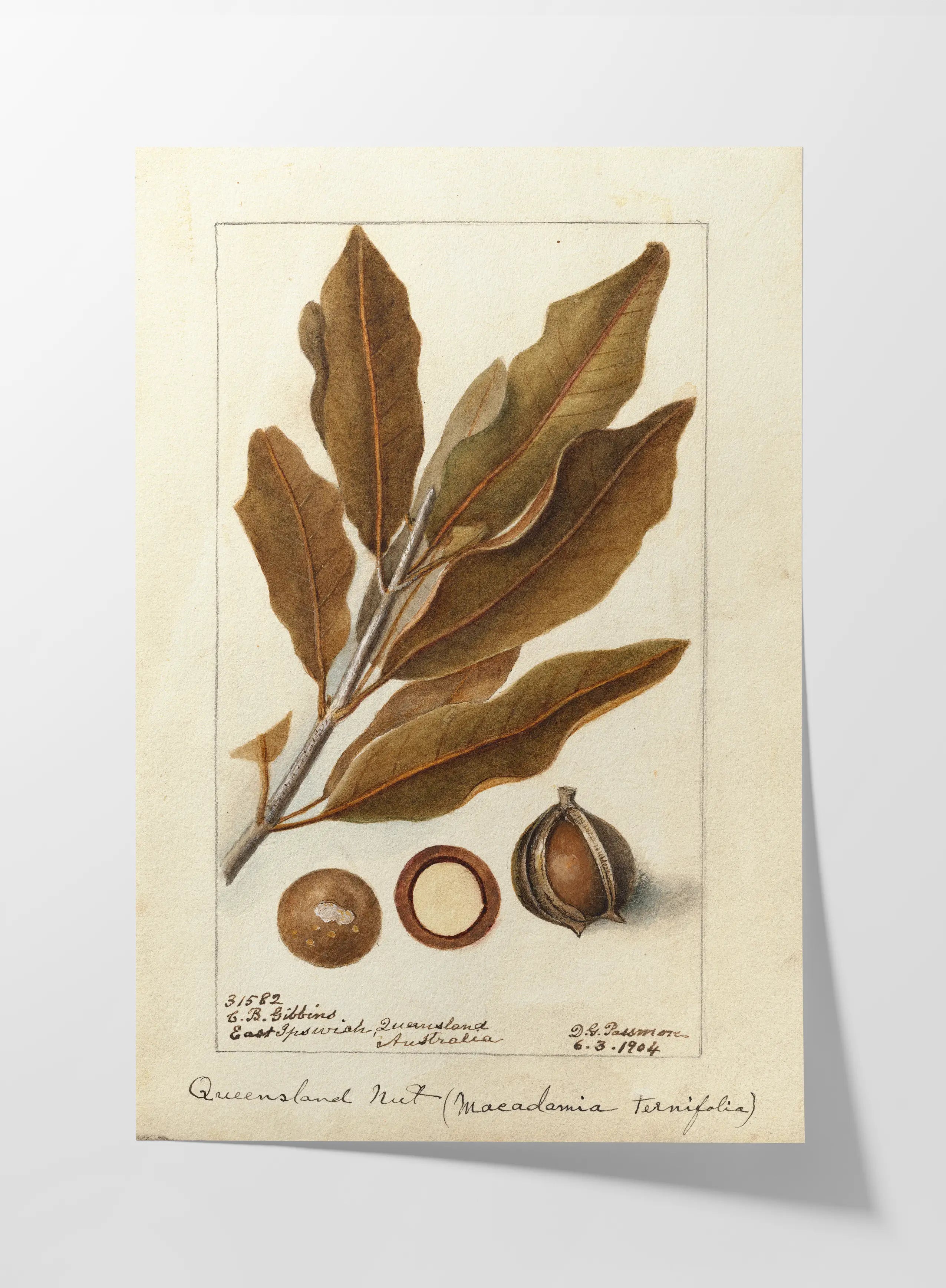 Fruits & Vegetables: Plate No. 27