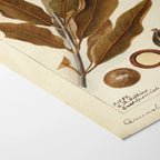 Fruits & Vegetables: Plate No. 27