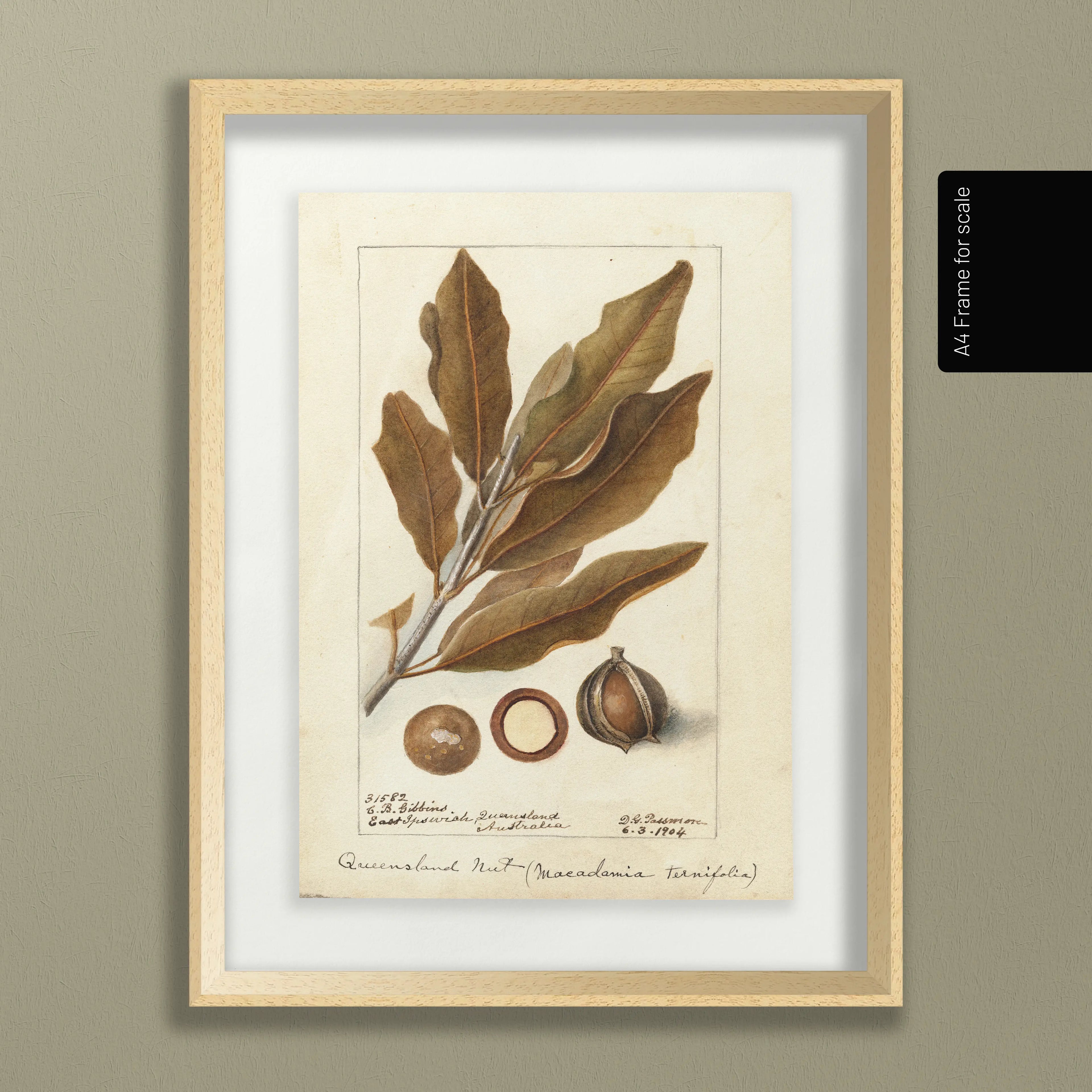 Fruits & Vegetables: Plate No. 27