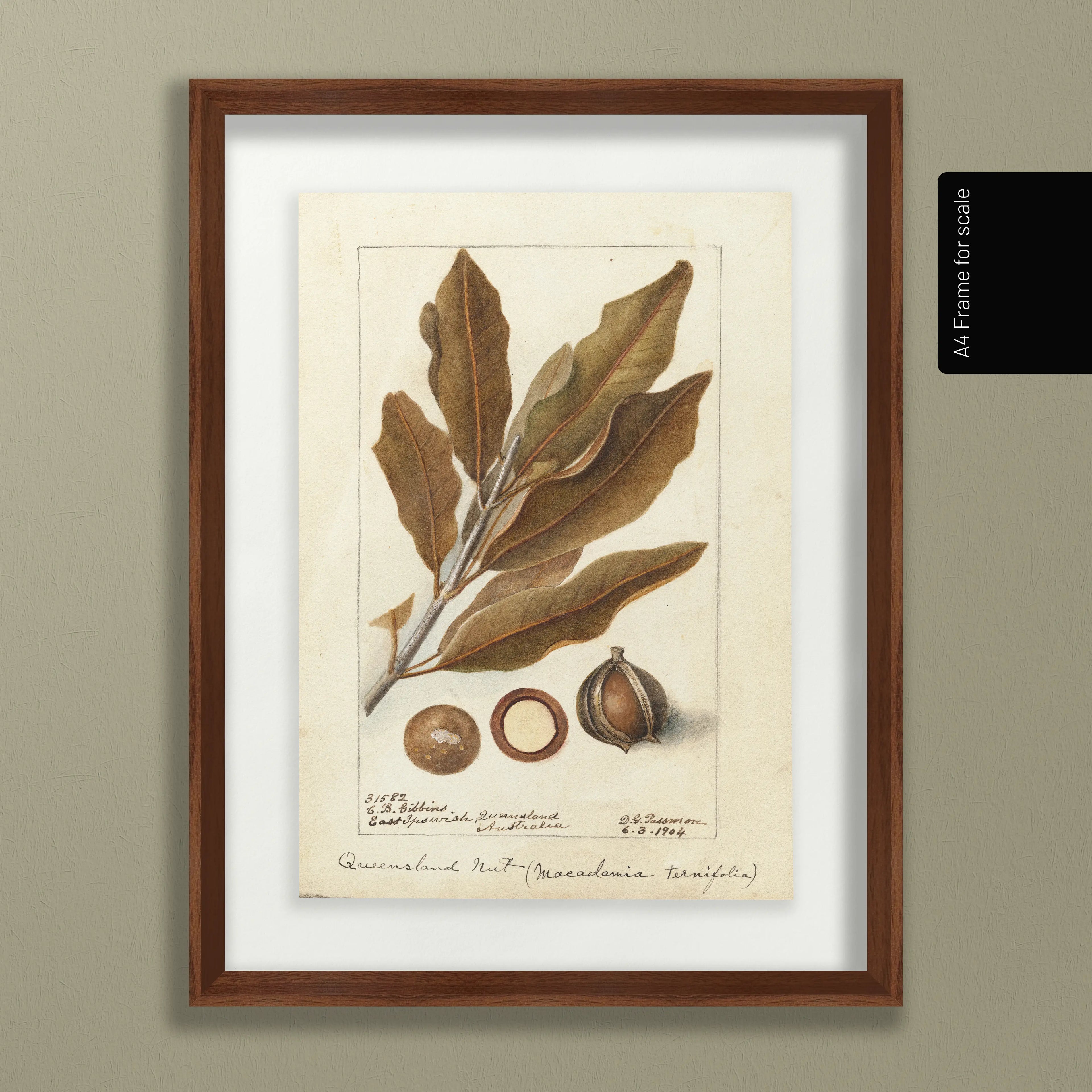 Fruits & Vegetables: Plate No. 27