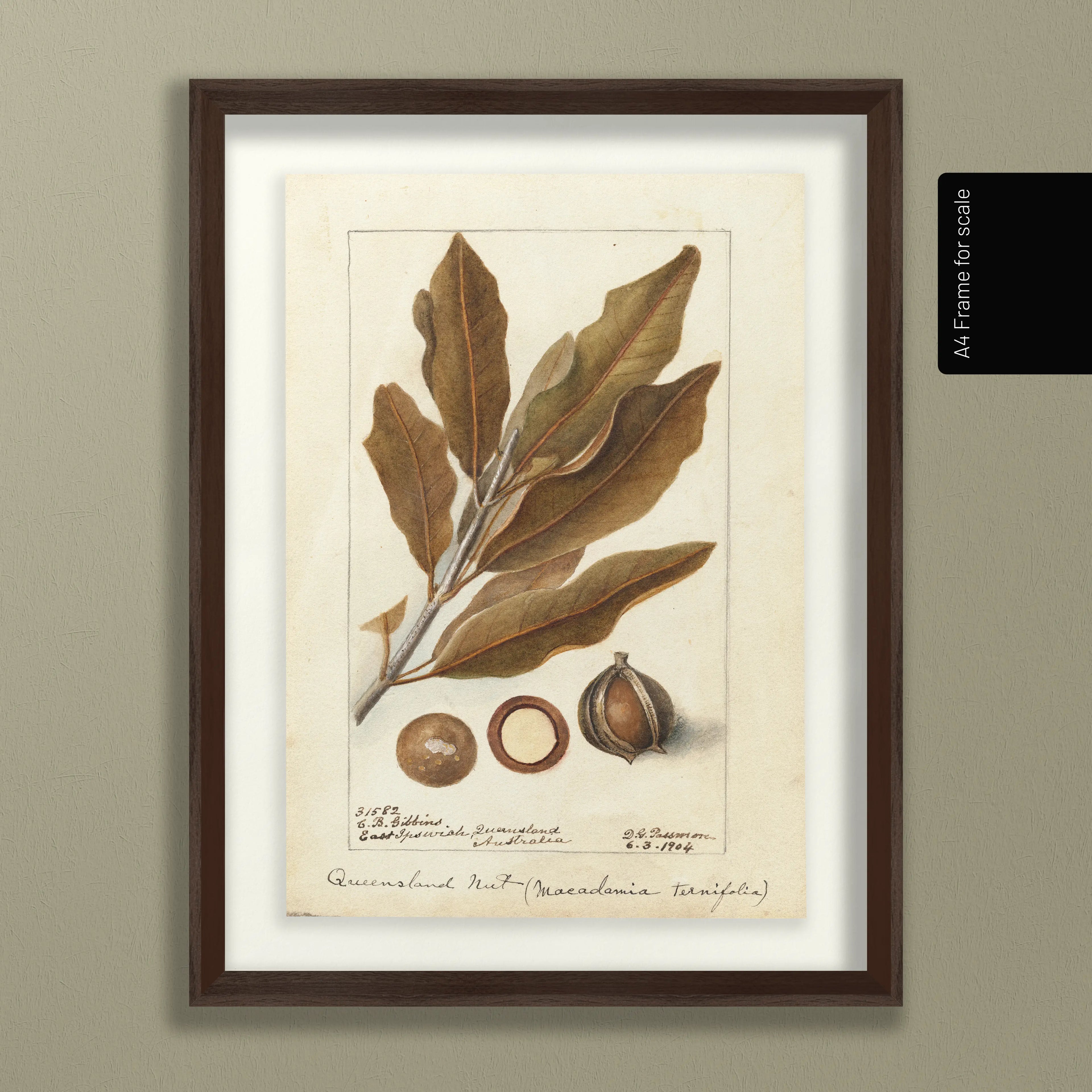 Fruits & Vegetables: Plate No. 27