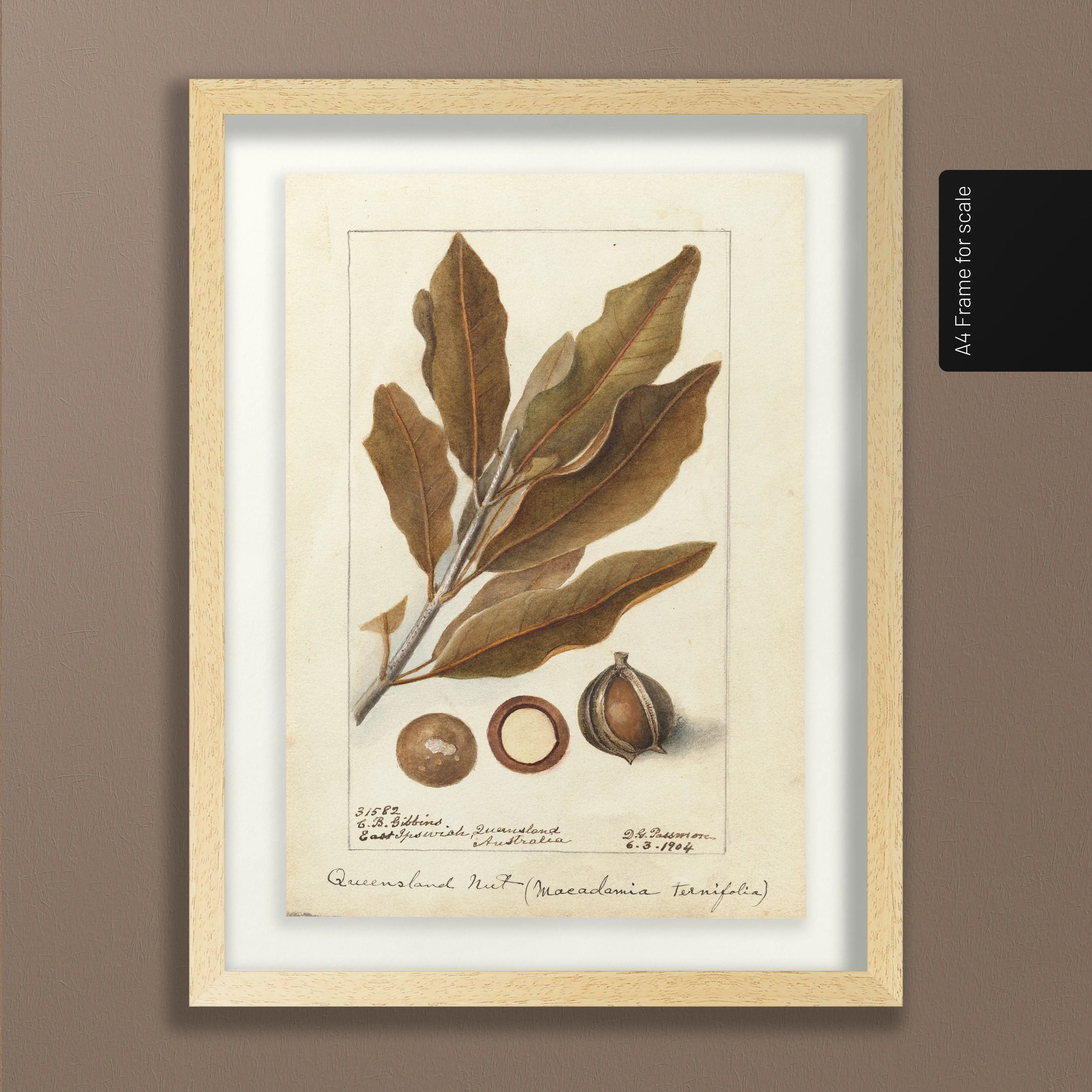 Fruits & Vegetables: Plate No. 27