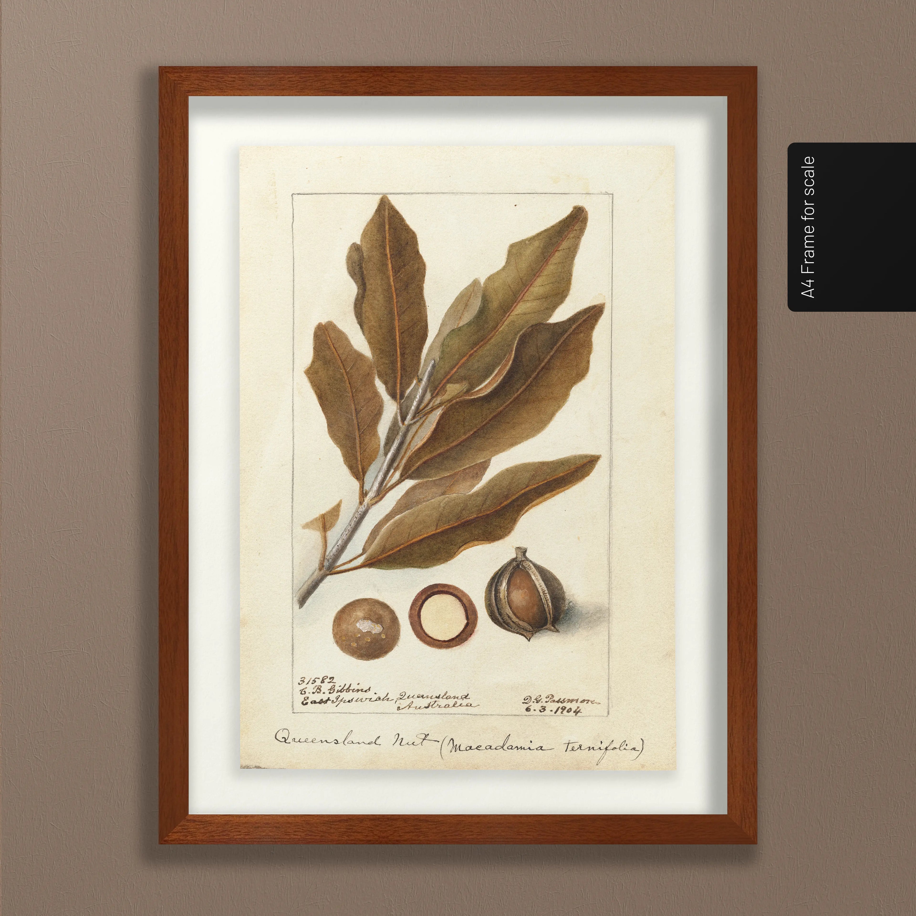 Fruits & Vegetables: Plate No. 27