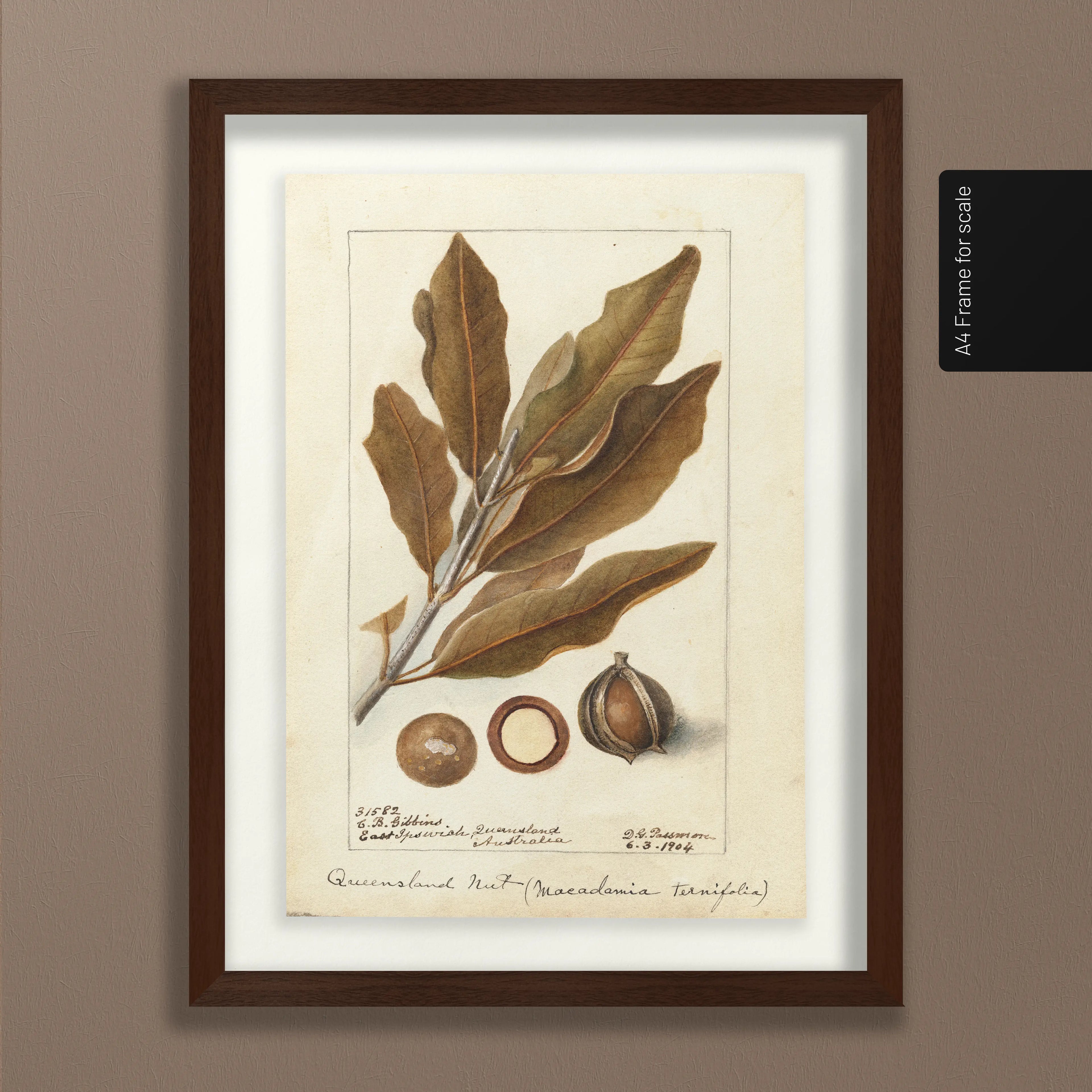 Fruits & Vegetables: Plate No. 27