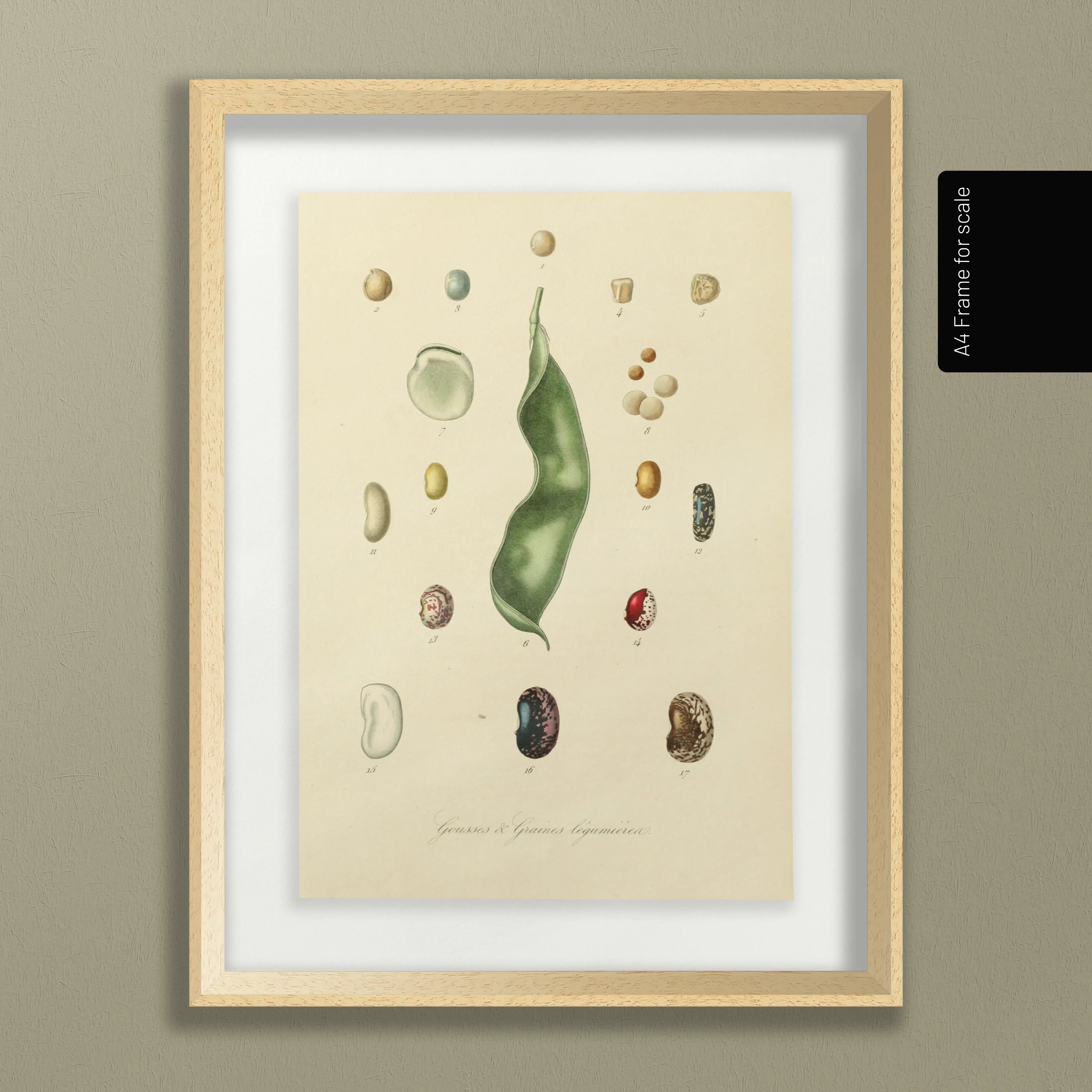 Fruits & Vegetables: Plate No. 28