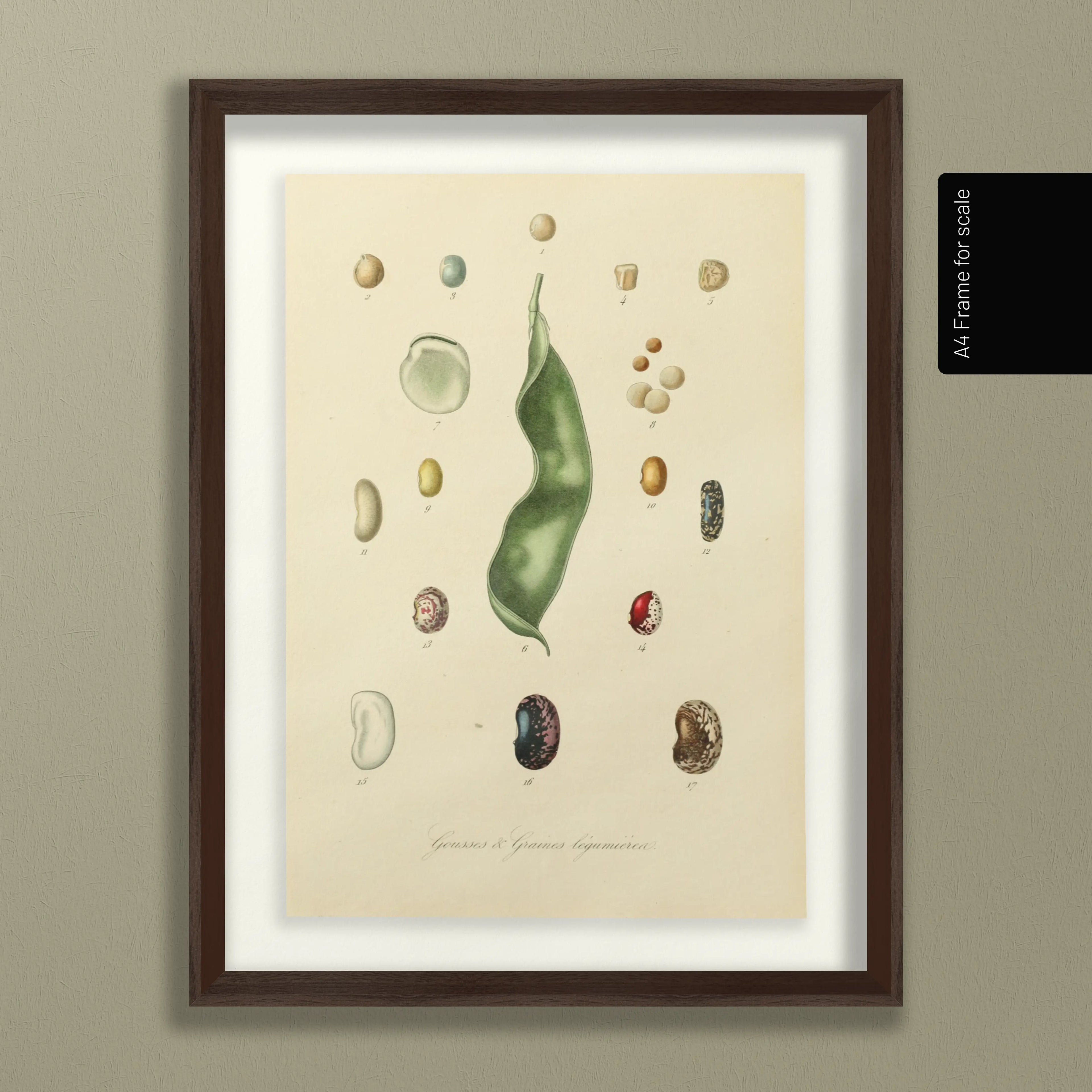 Fruits & Vegetables: Plate No. 28