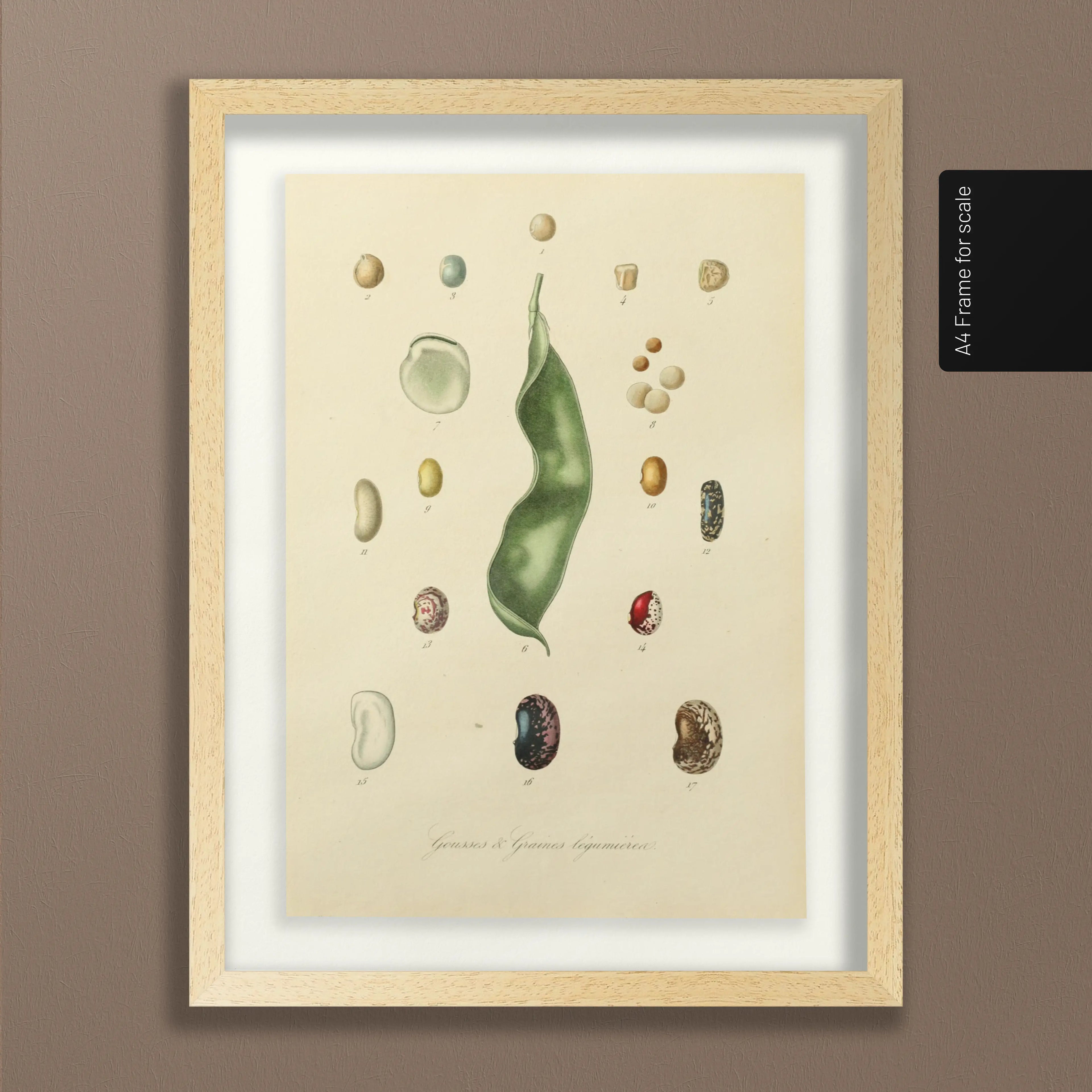 Fruits & Vegetables: Plate No. 28