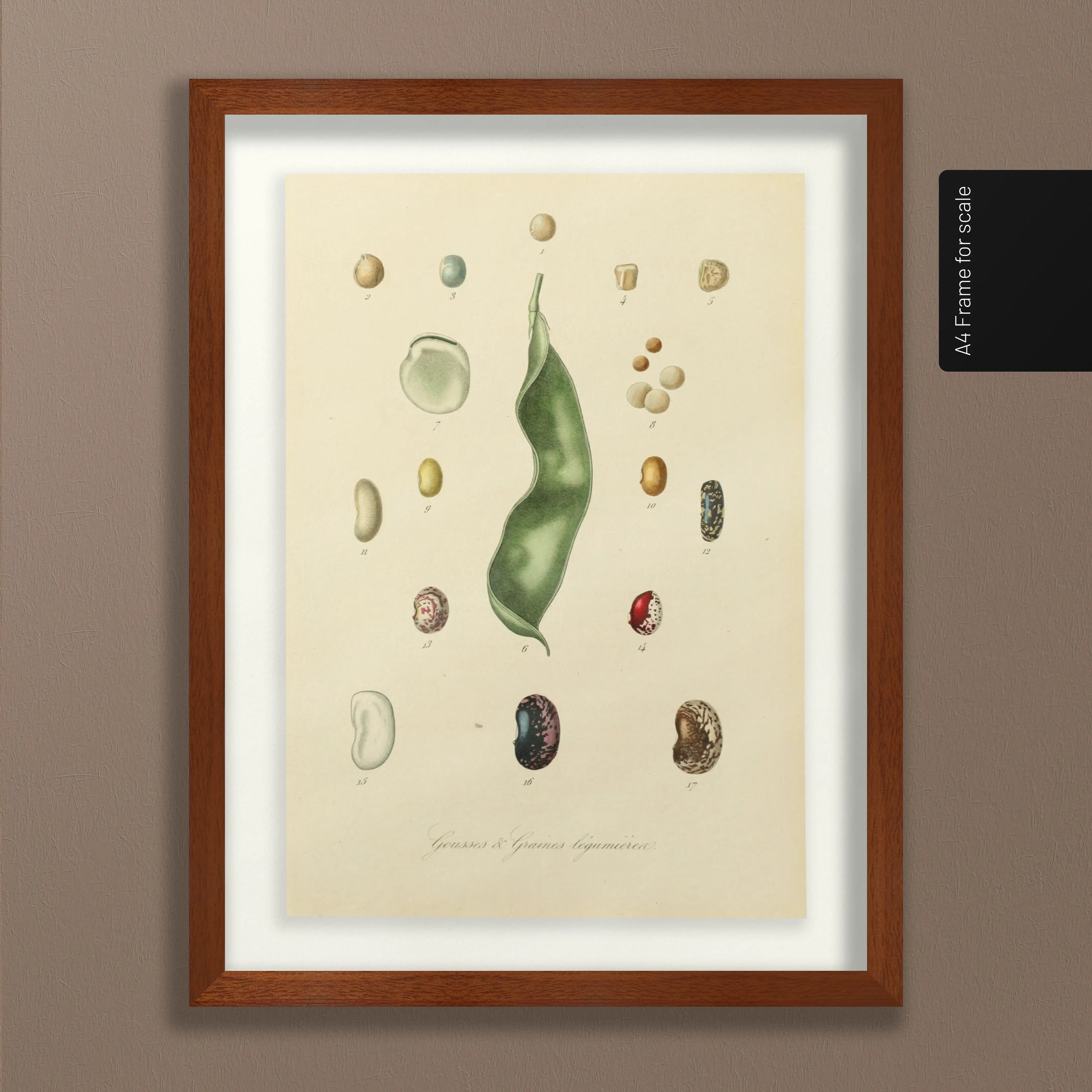 Fruits & Vegetables: Plate No. 28