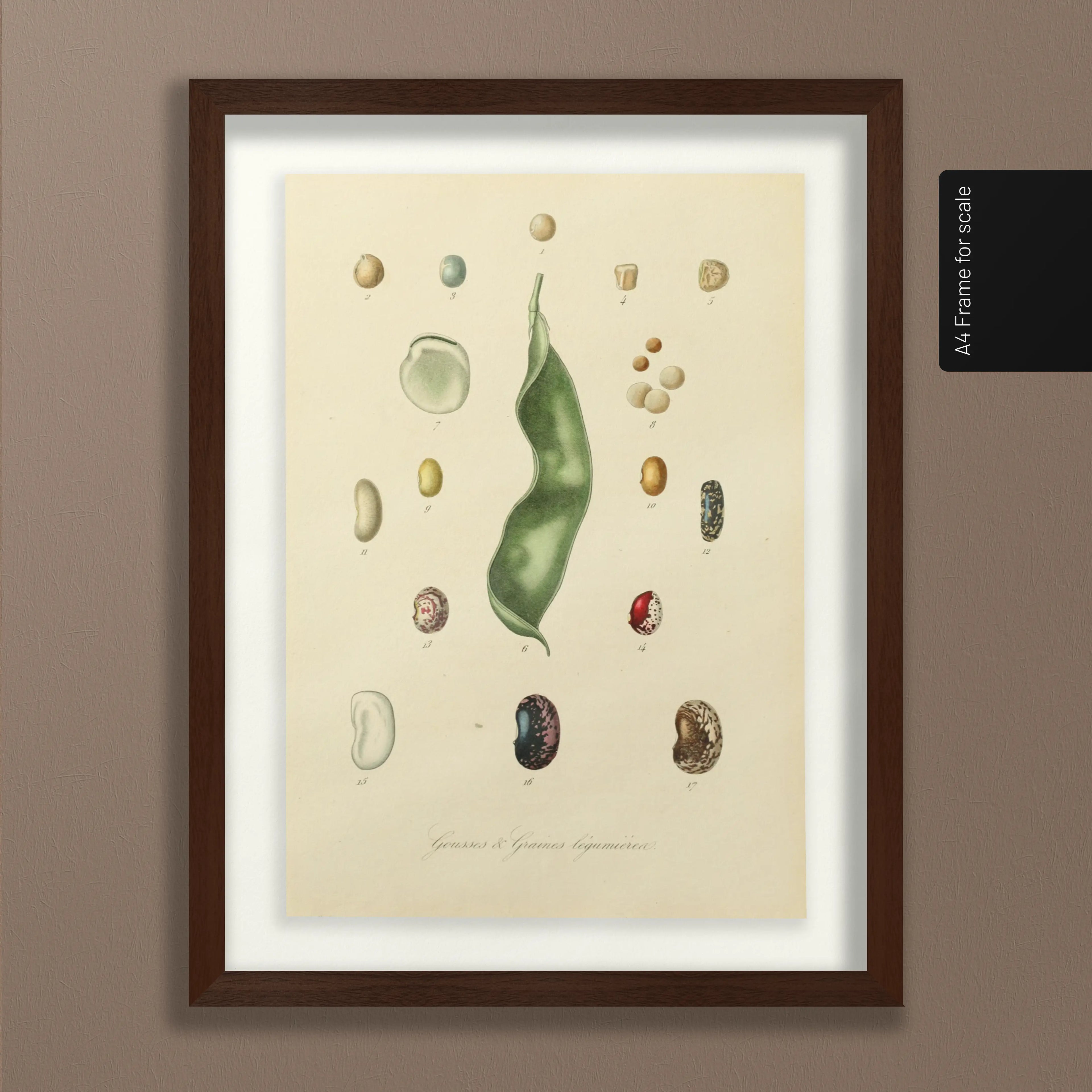 Fruits & Vegetables: Plate No. 28