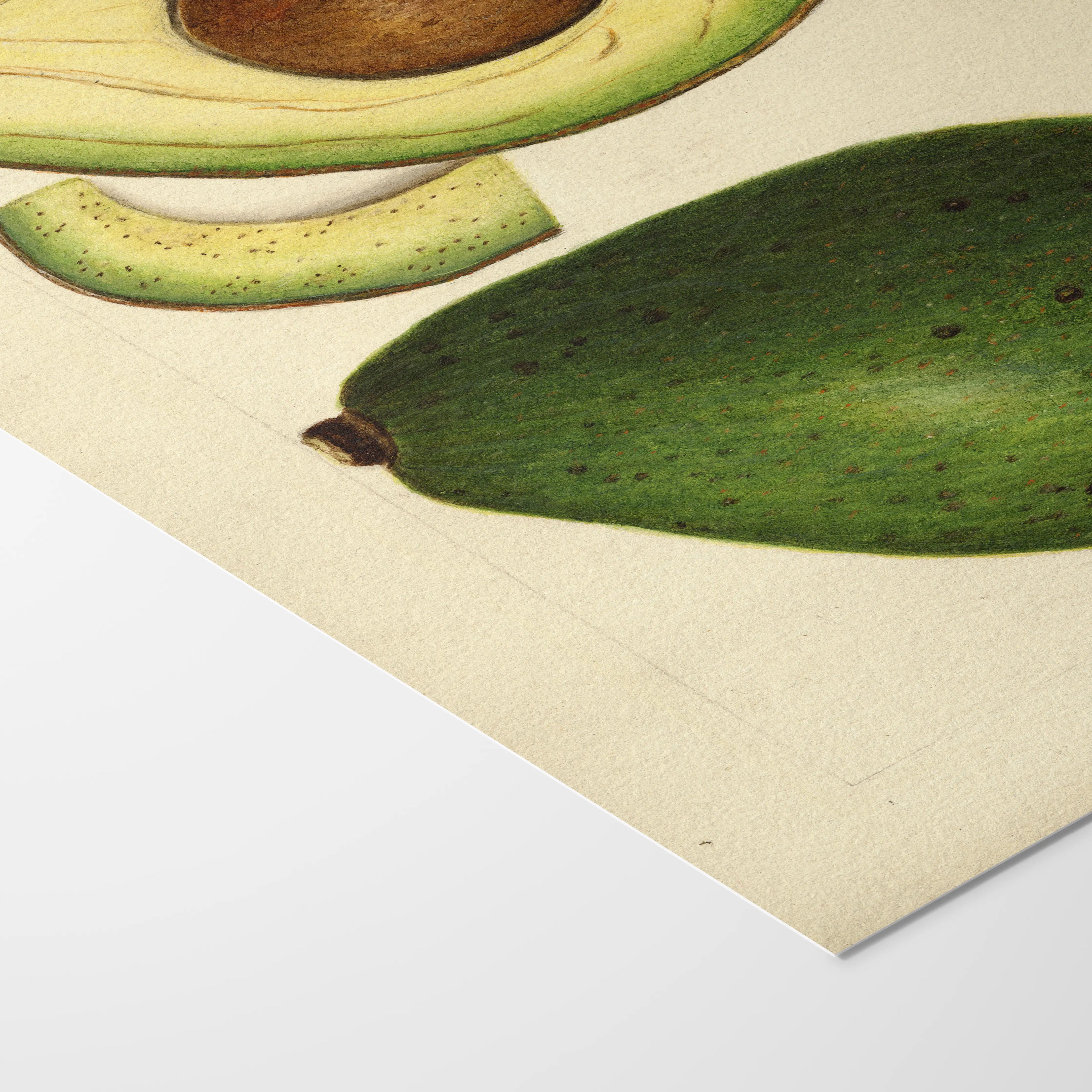 Fruits & Vegetables: Plate No. 29