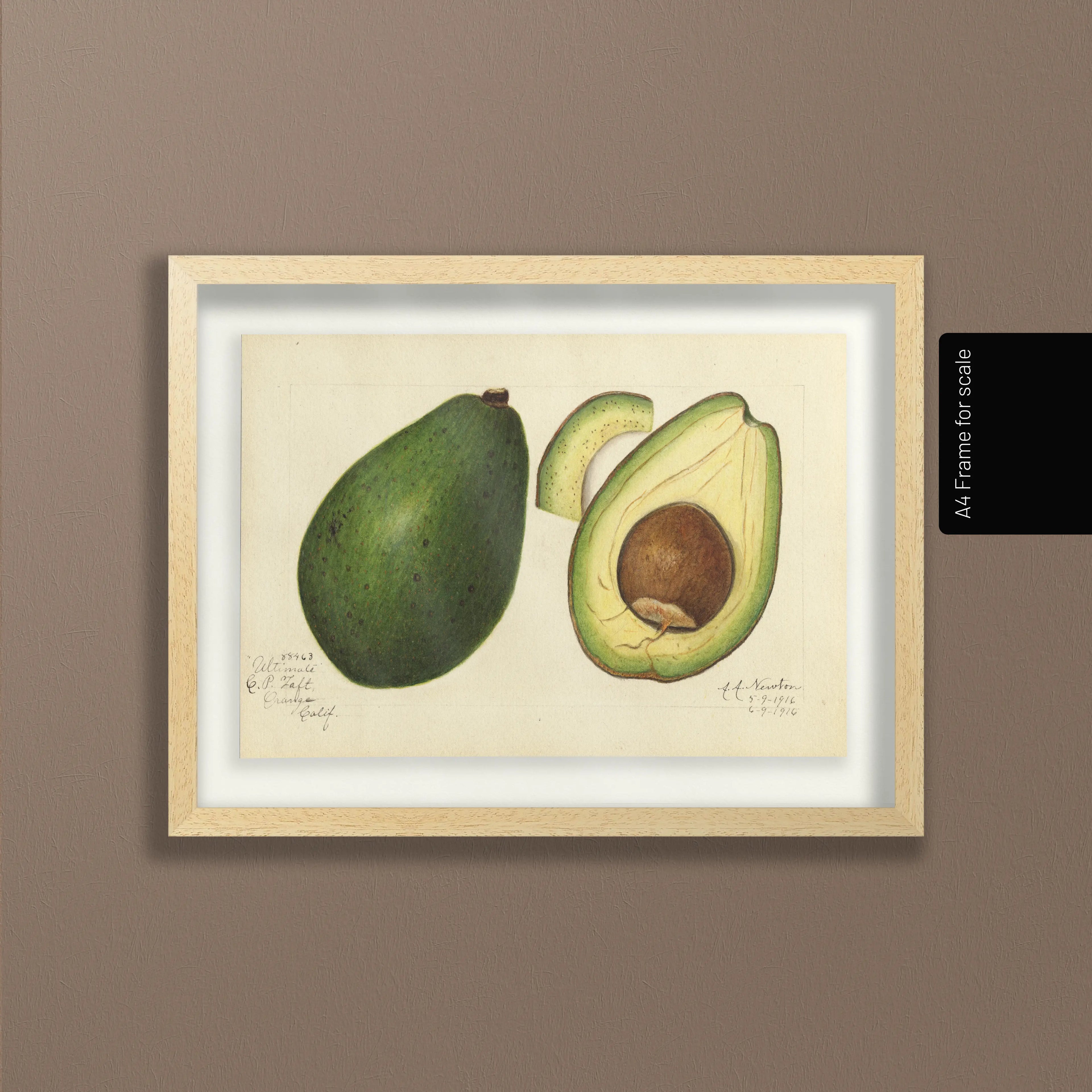 Fruits & Vegetables: Plate No. 29