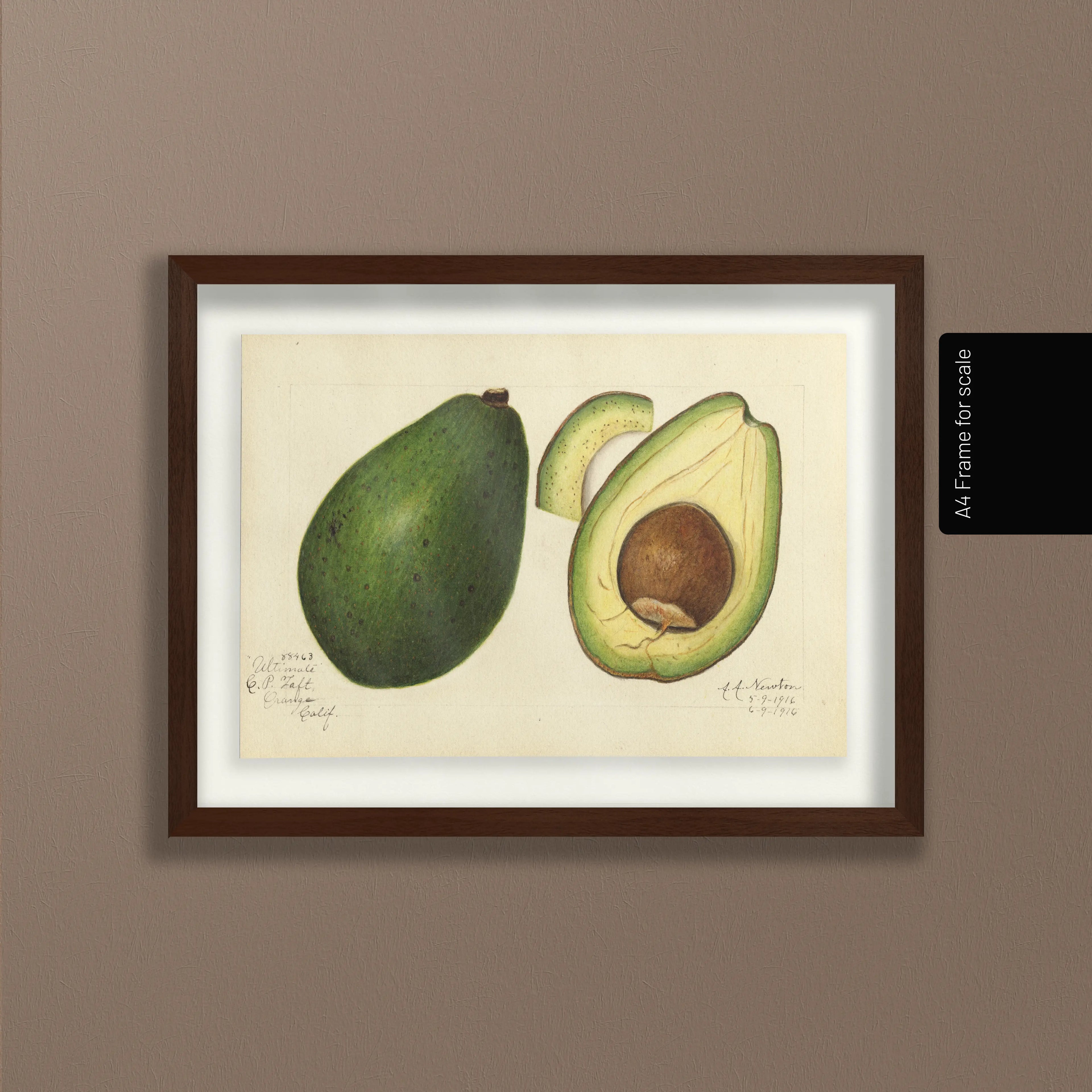 Fruits & Vegetables: Plate No. 29