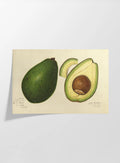 Fruits & Vegetables: Plate No. 29