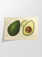 Fruits & Vegetables: Plate No. 29