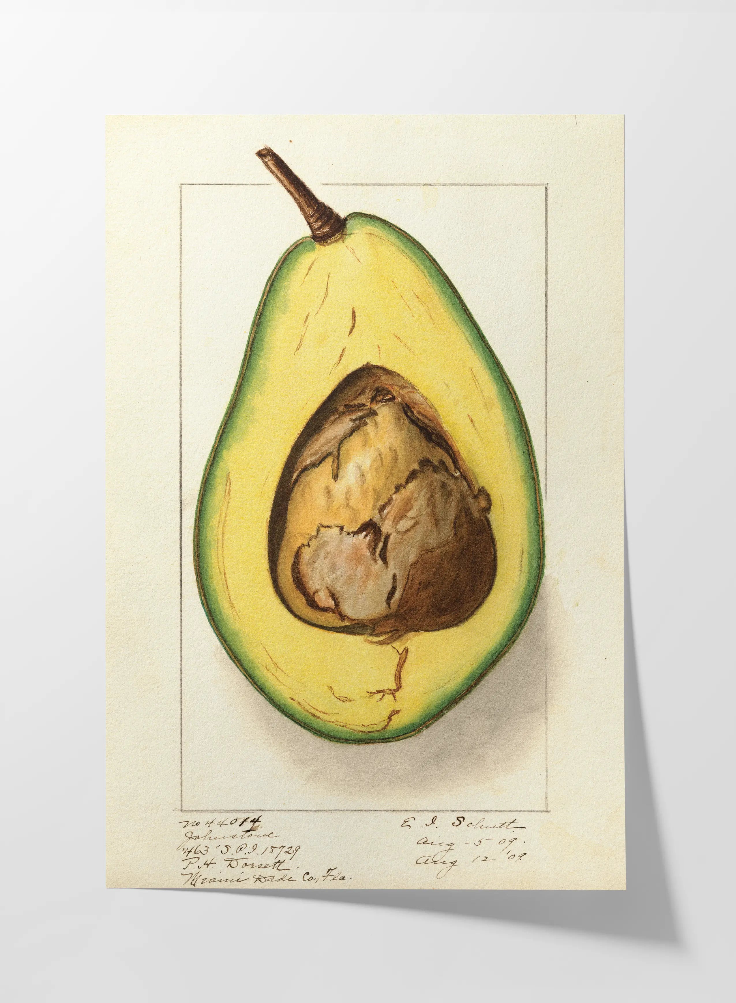 Fruits & Vegetables: Plate No. 30