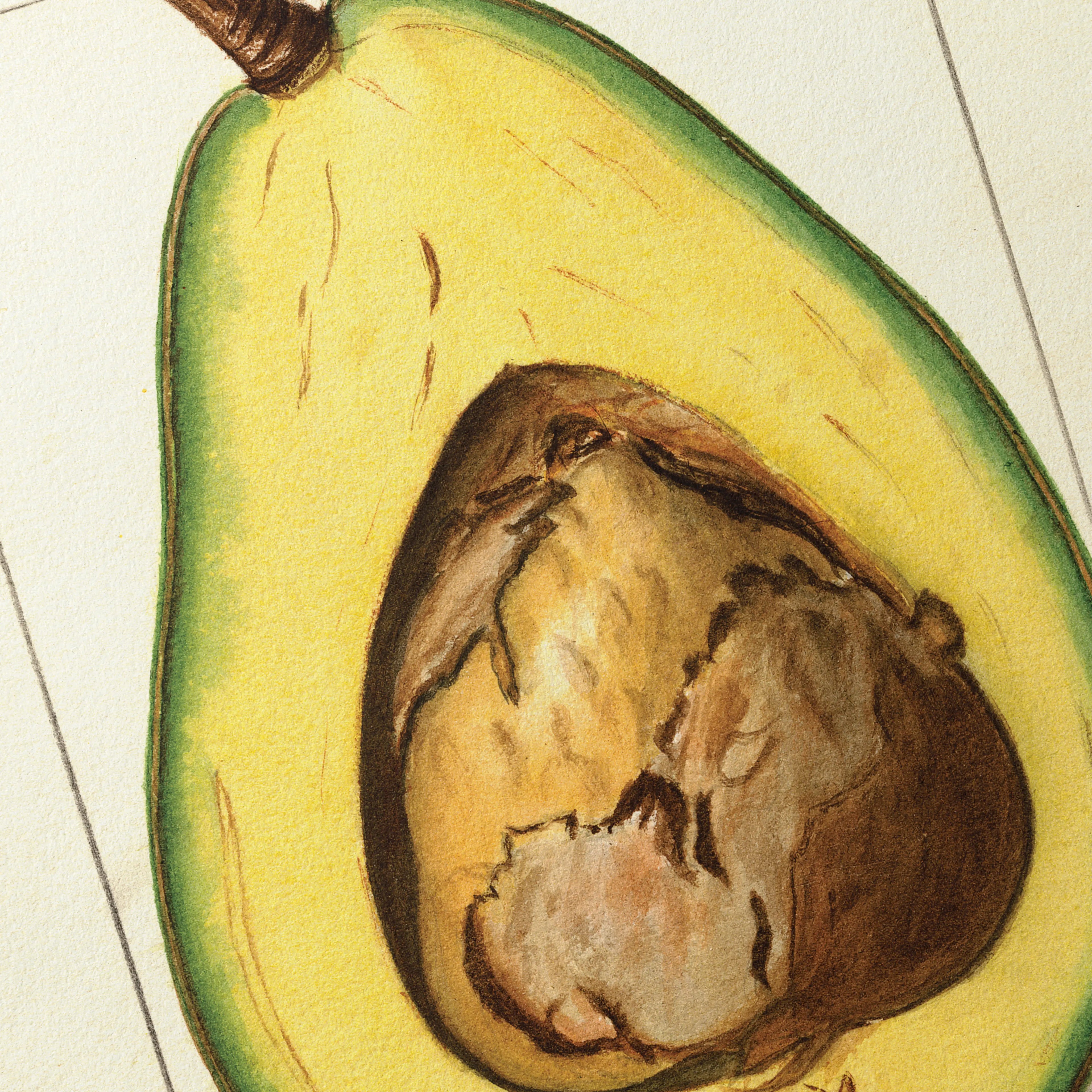 Fruits & Vegetables: Plate No. 30