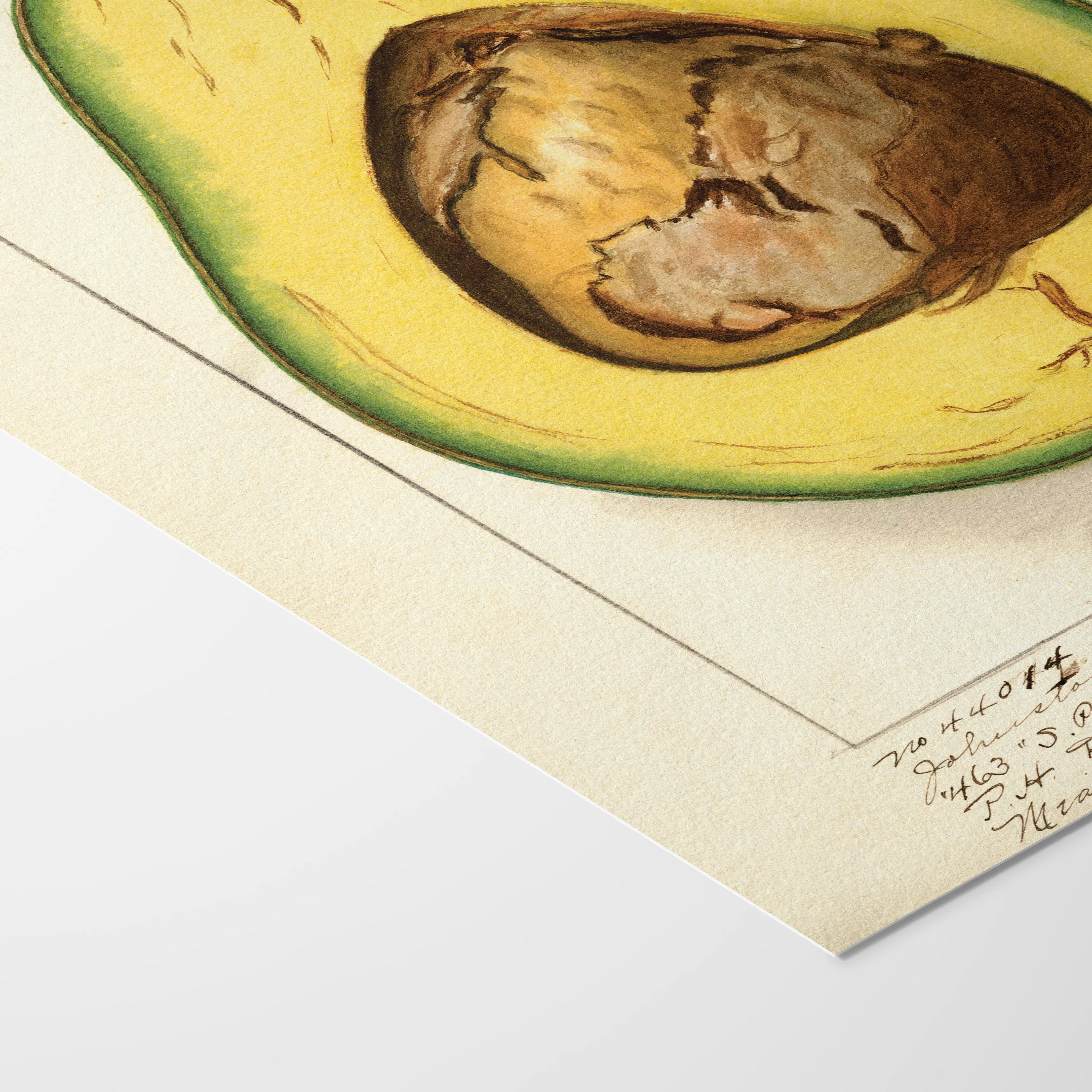 Fruits & Vegetables: Plate No. 30